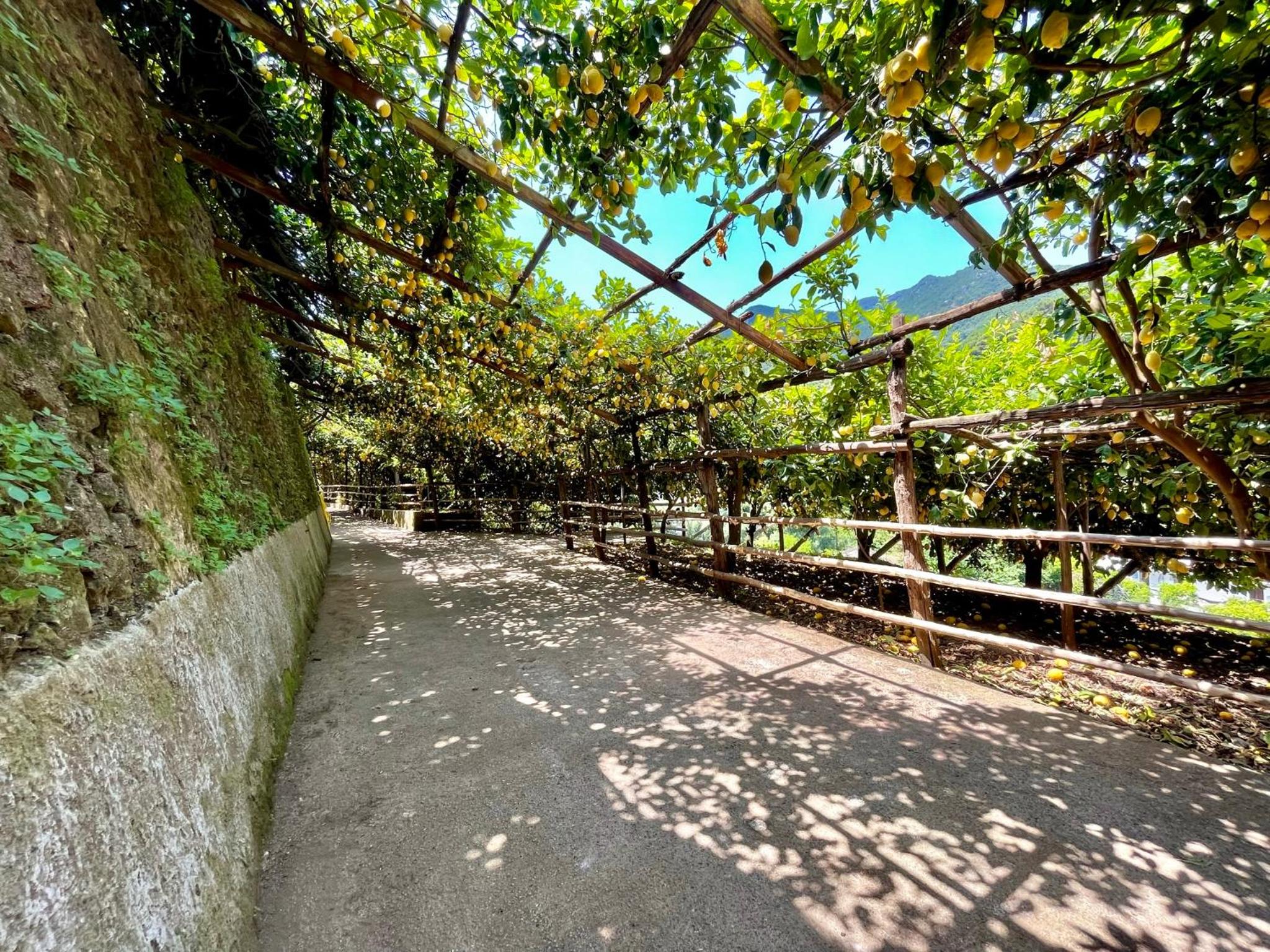 Tenuta Donna Giovanna photo 5