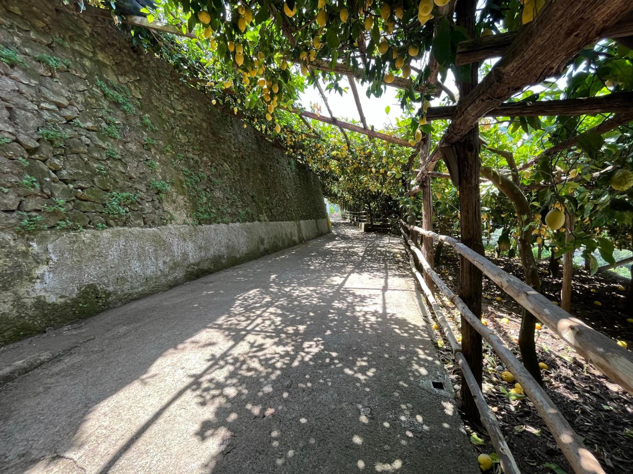 Tenuta Donna Giovanna