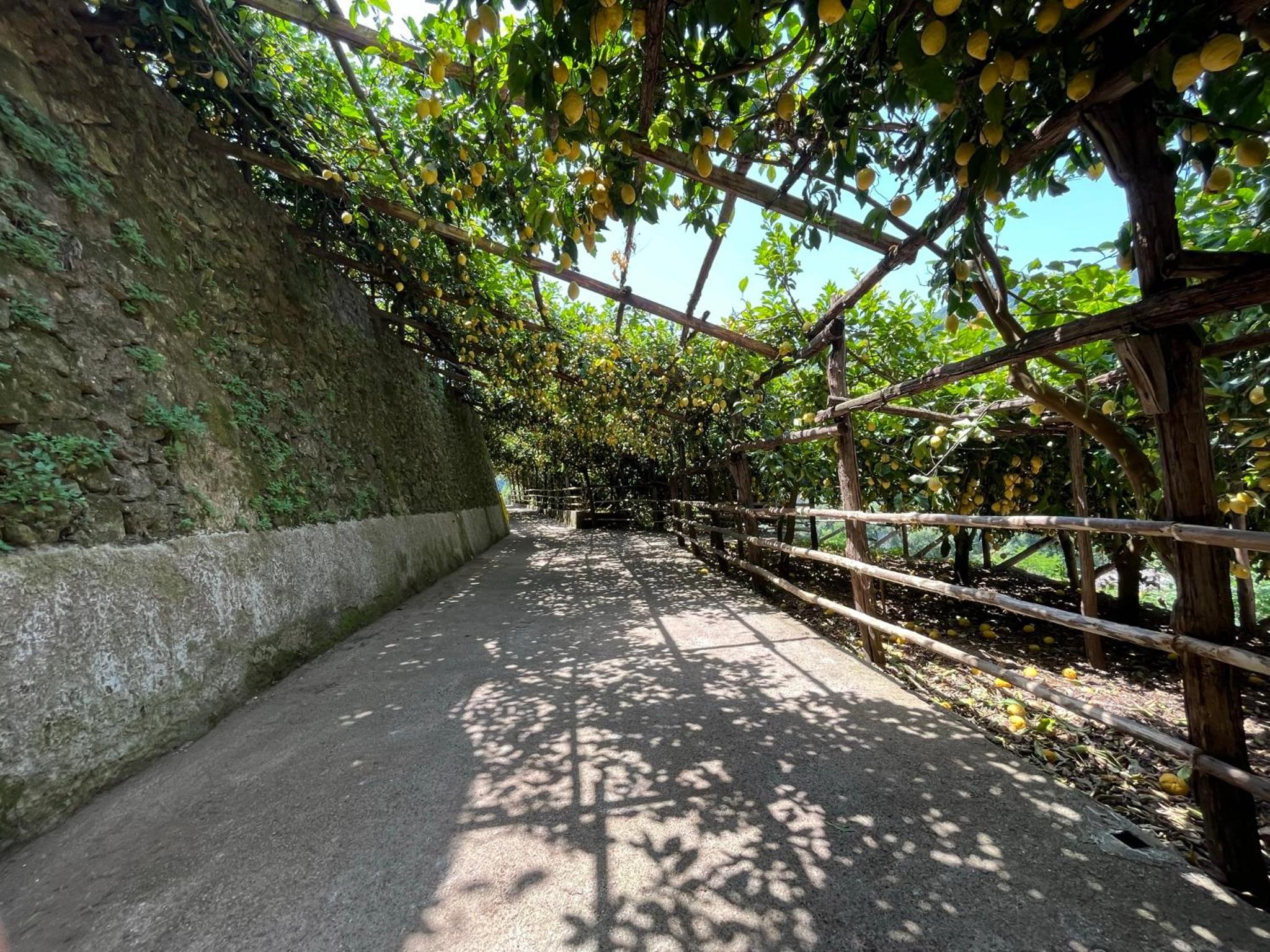 Tenuta Donna Giovanna