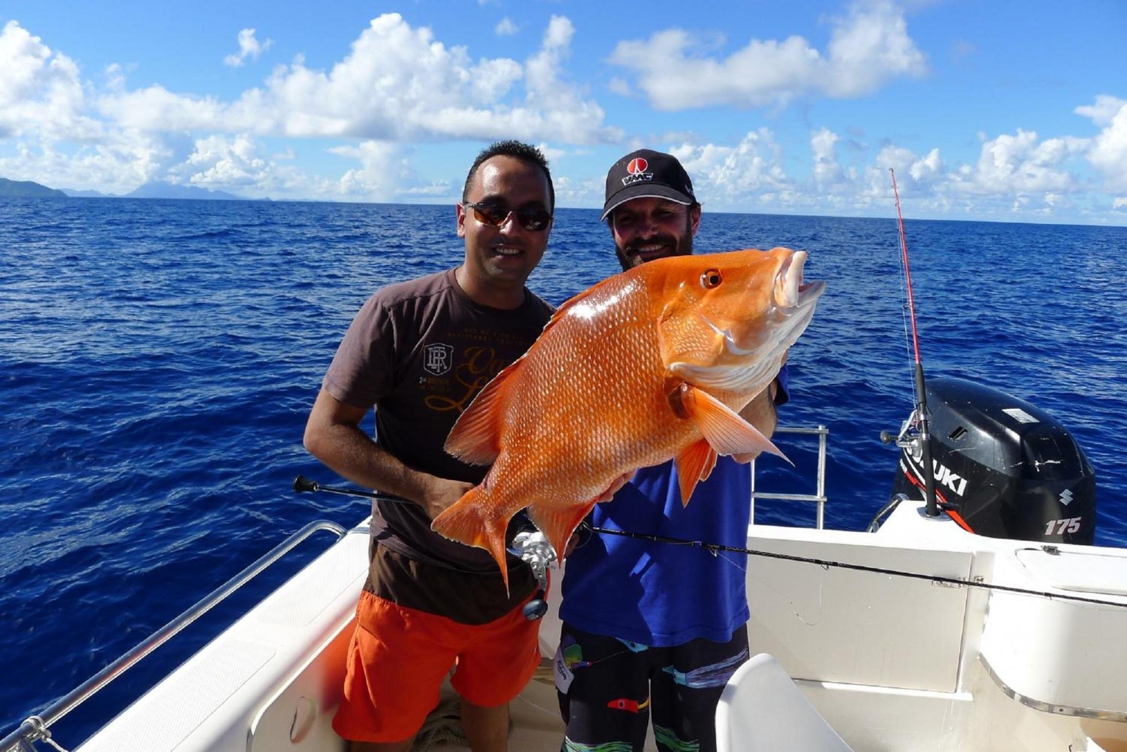 La Belle Tortue