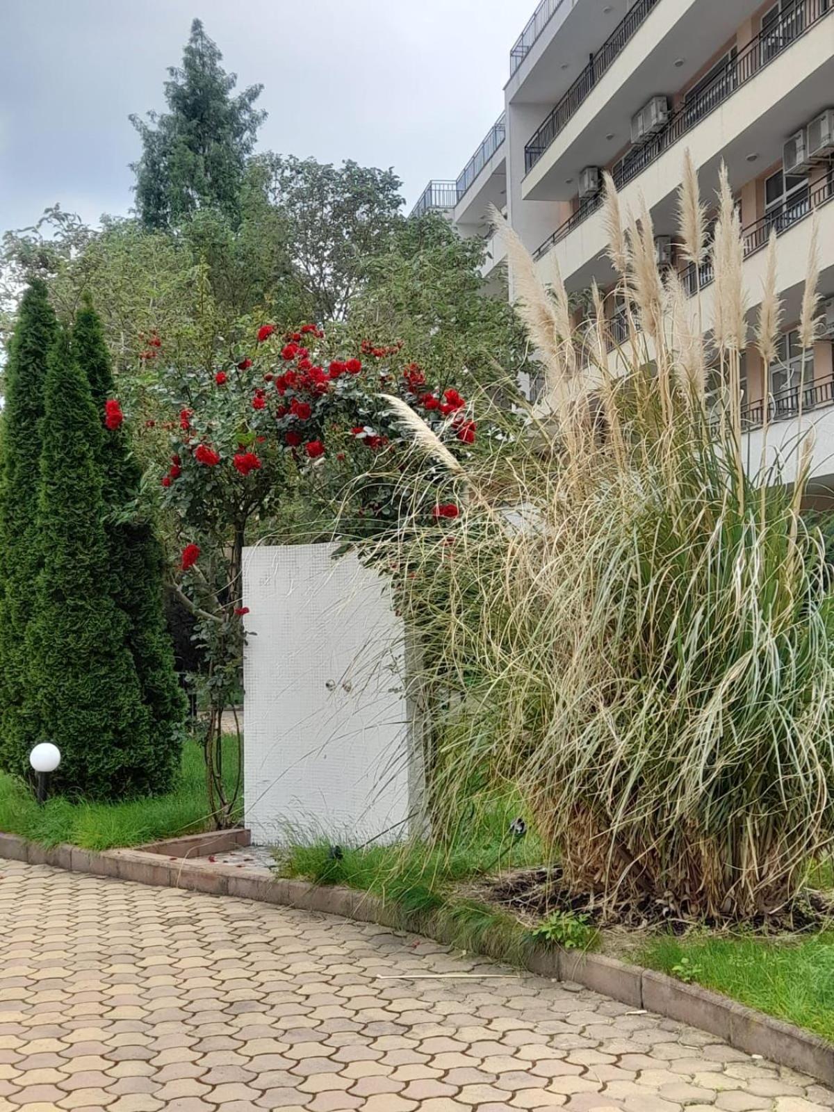 Lovely 3 Room Apartment new furnished Kamelia Sunny Beach