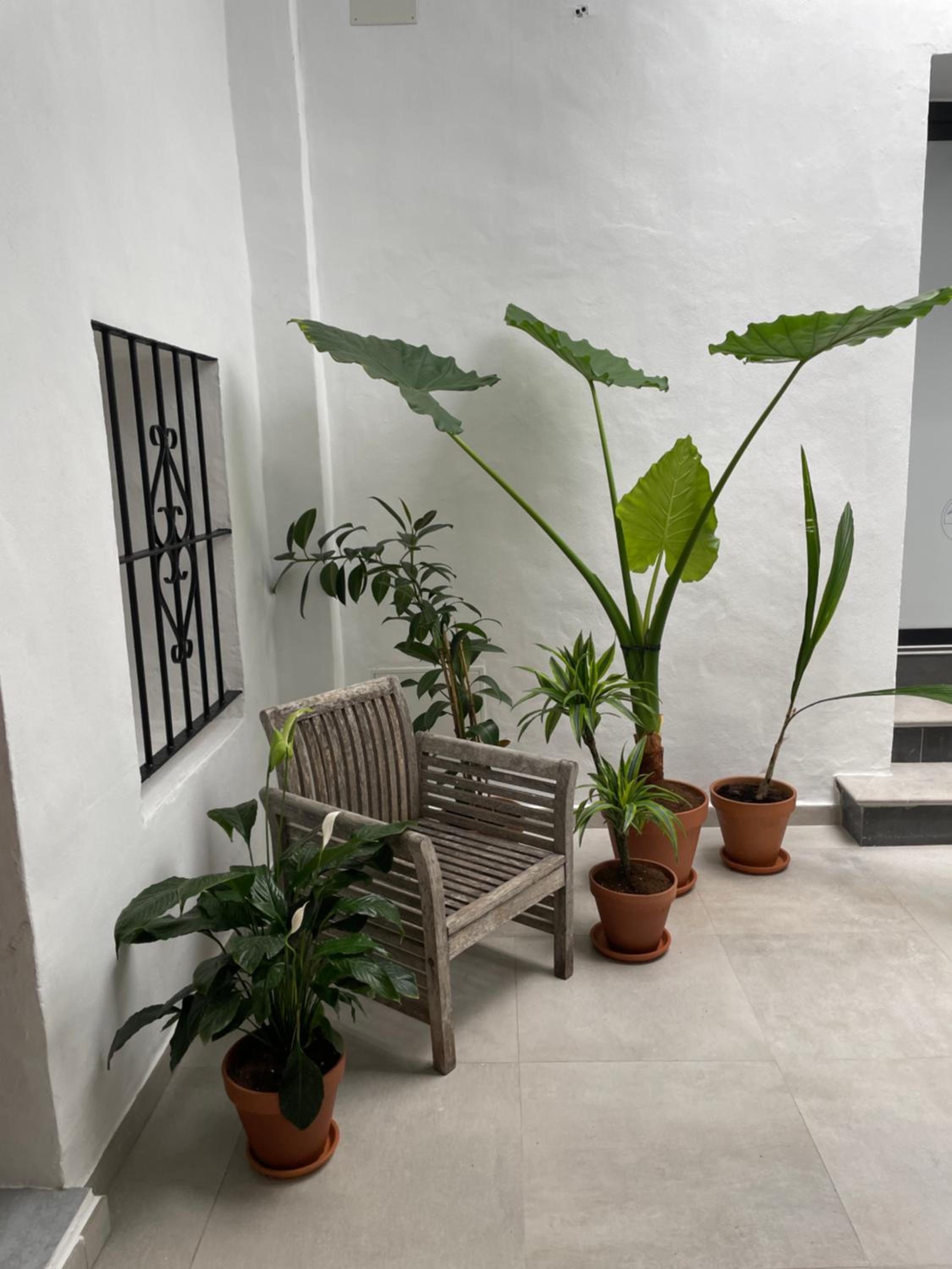 Casa Florinda Tarifa