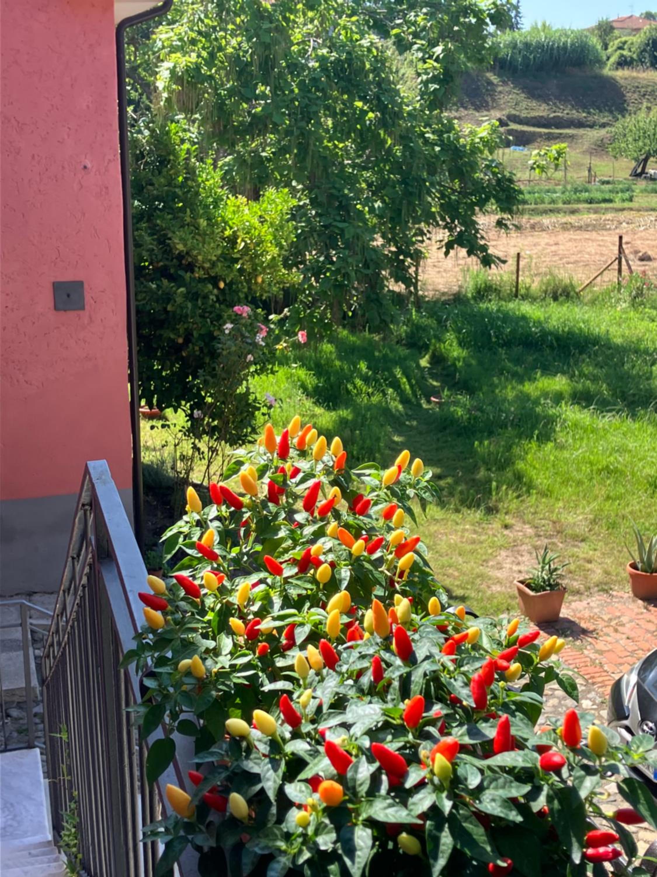 Cascina delle Rose view 5