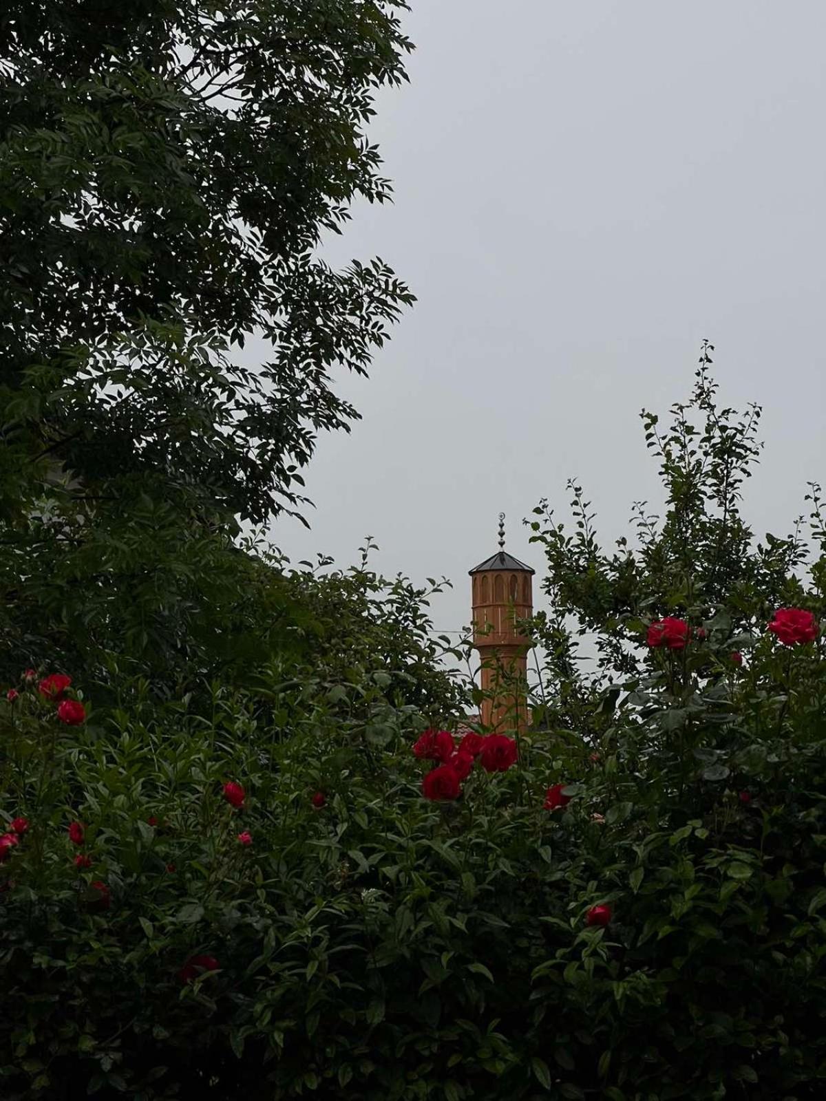 Villa Dalia
