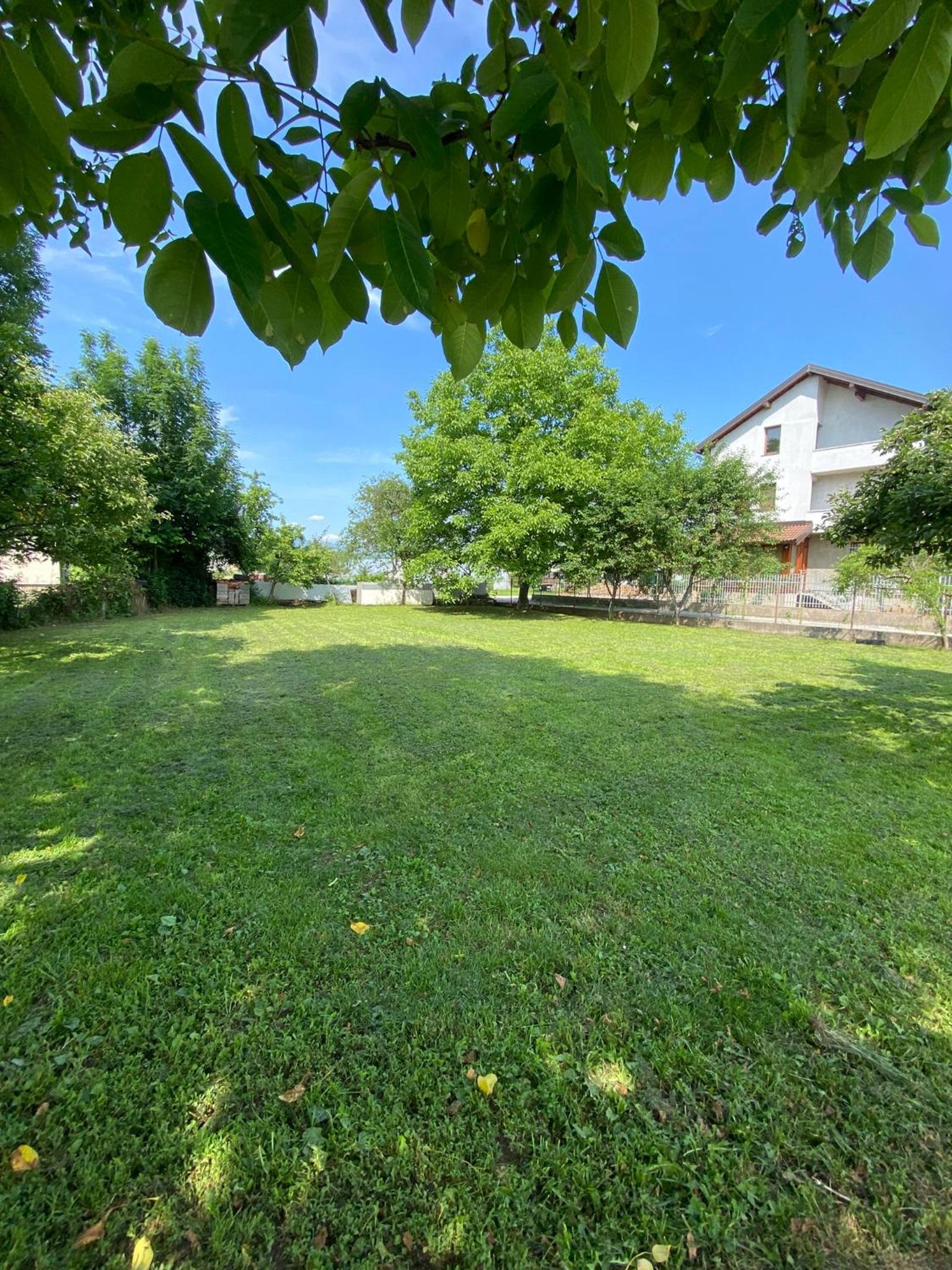 Villa Dalia