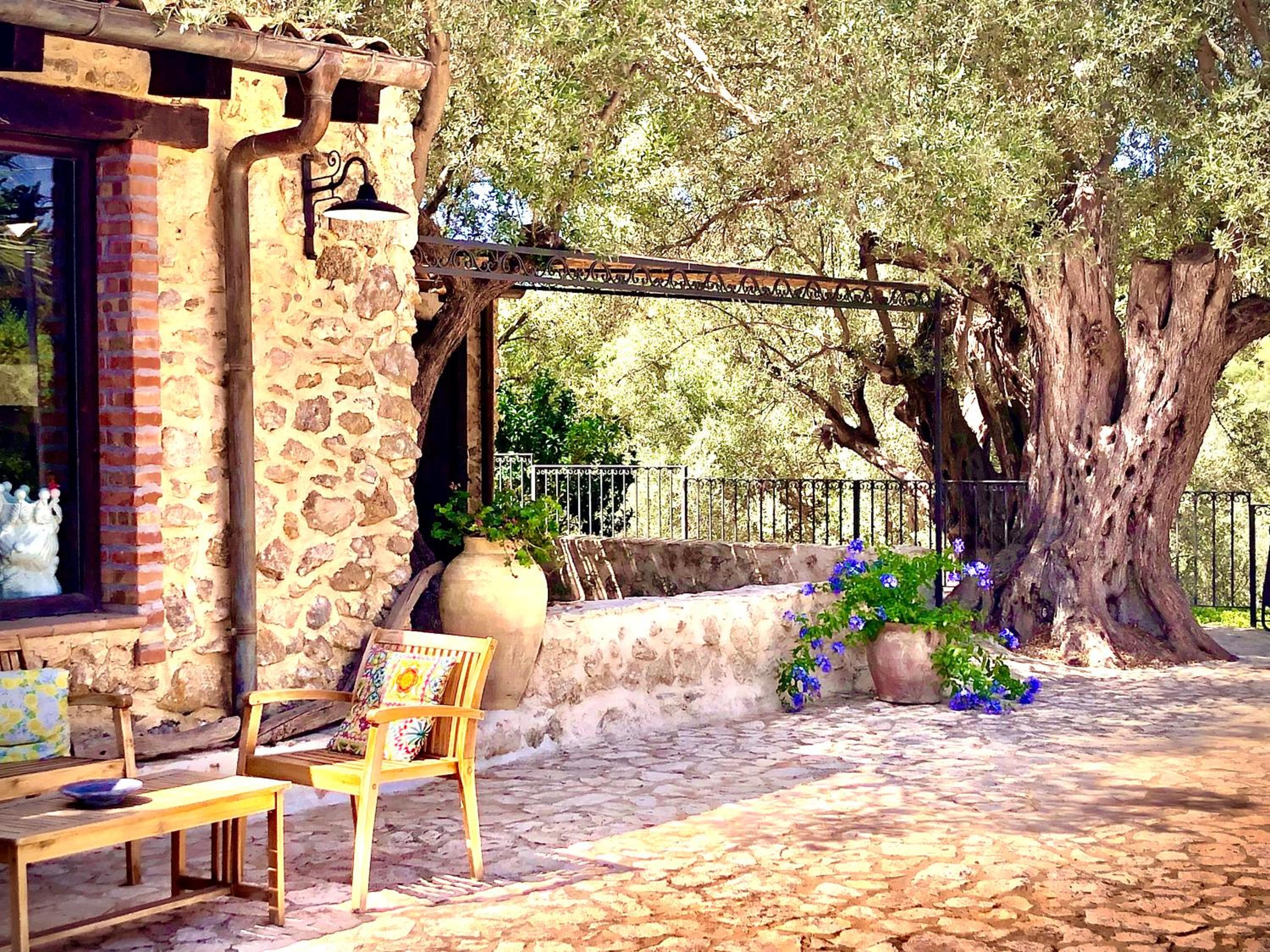 Agriturismo Roba degli Ulivi