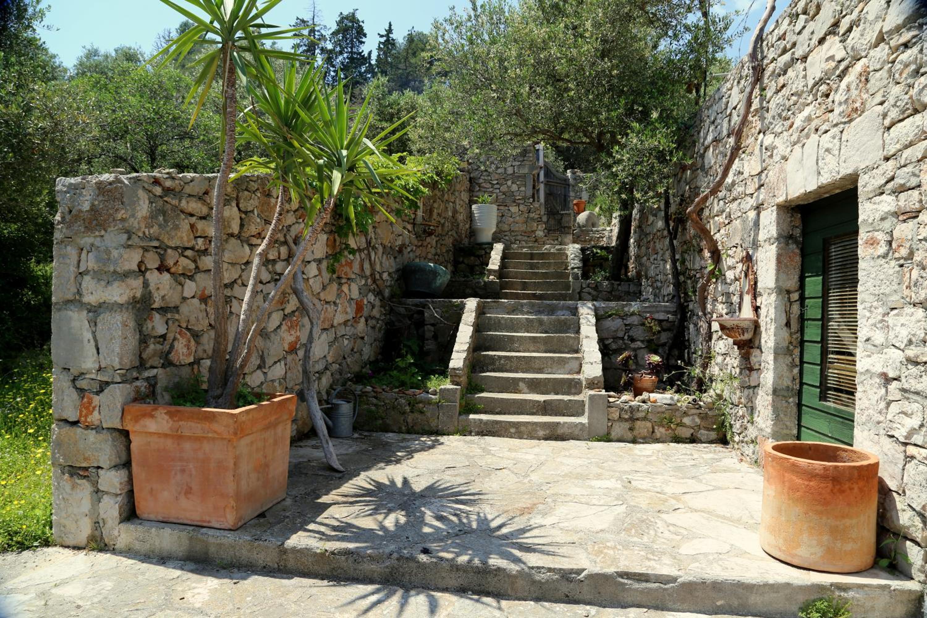Photo 17