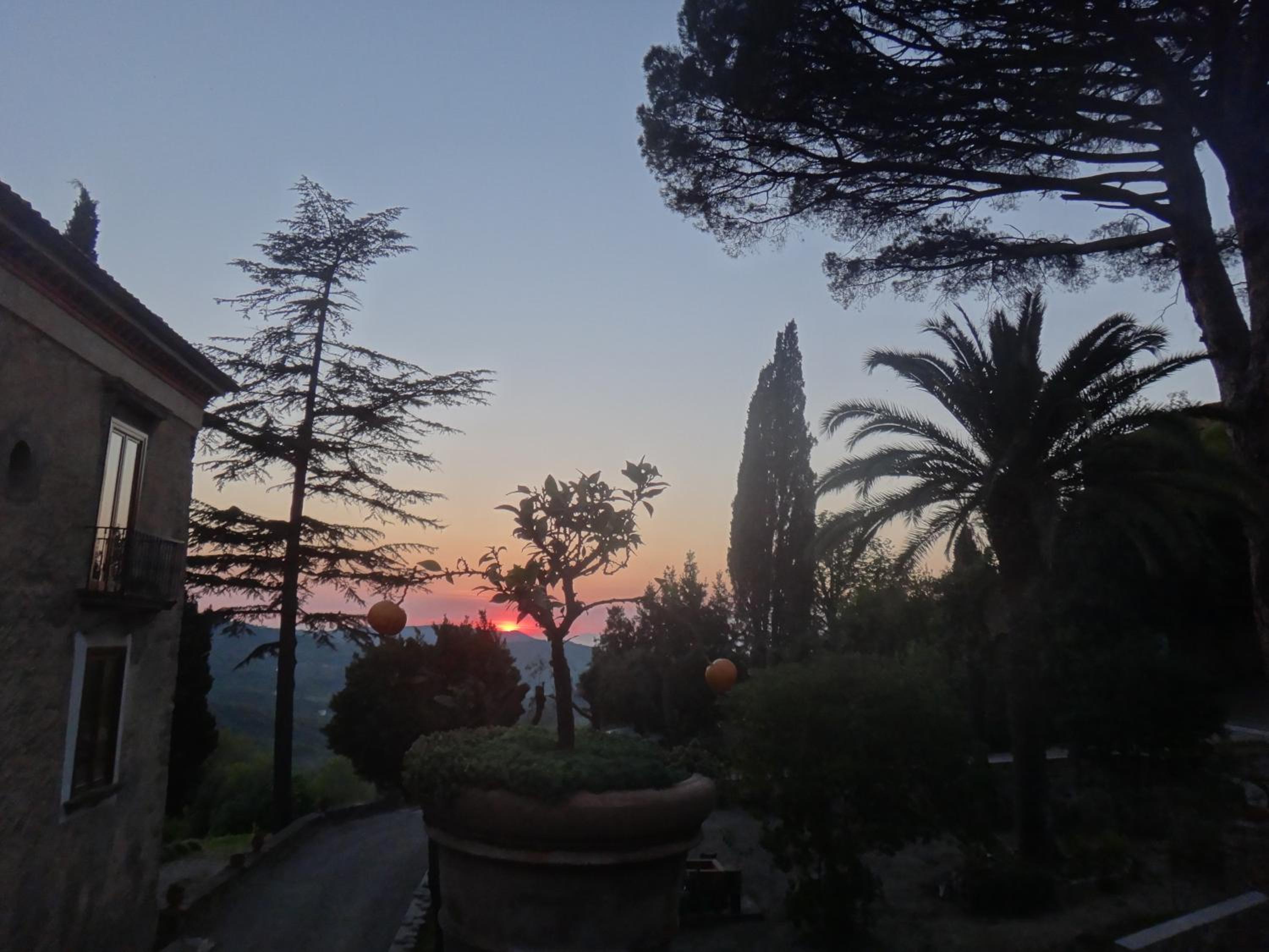 Photo 48