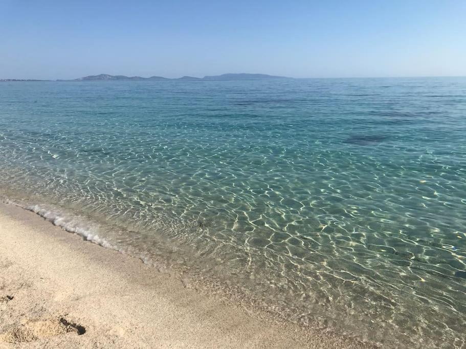 Spazioso appartamento per vacanze al mare view 3