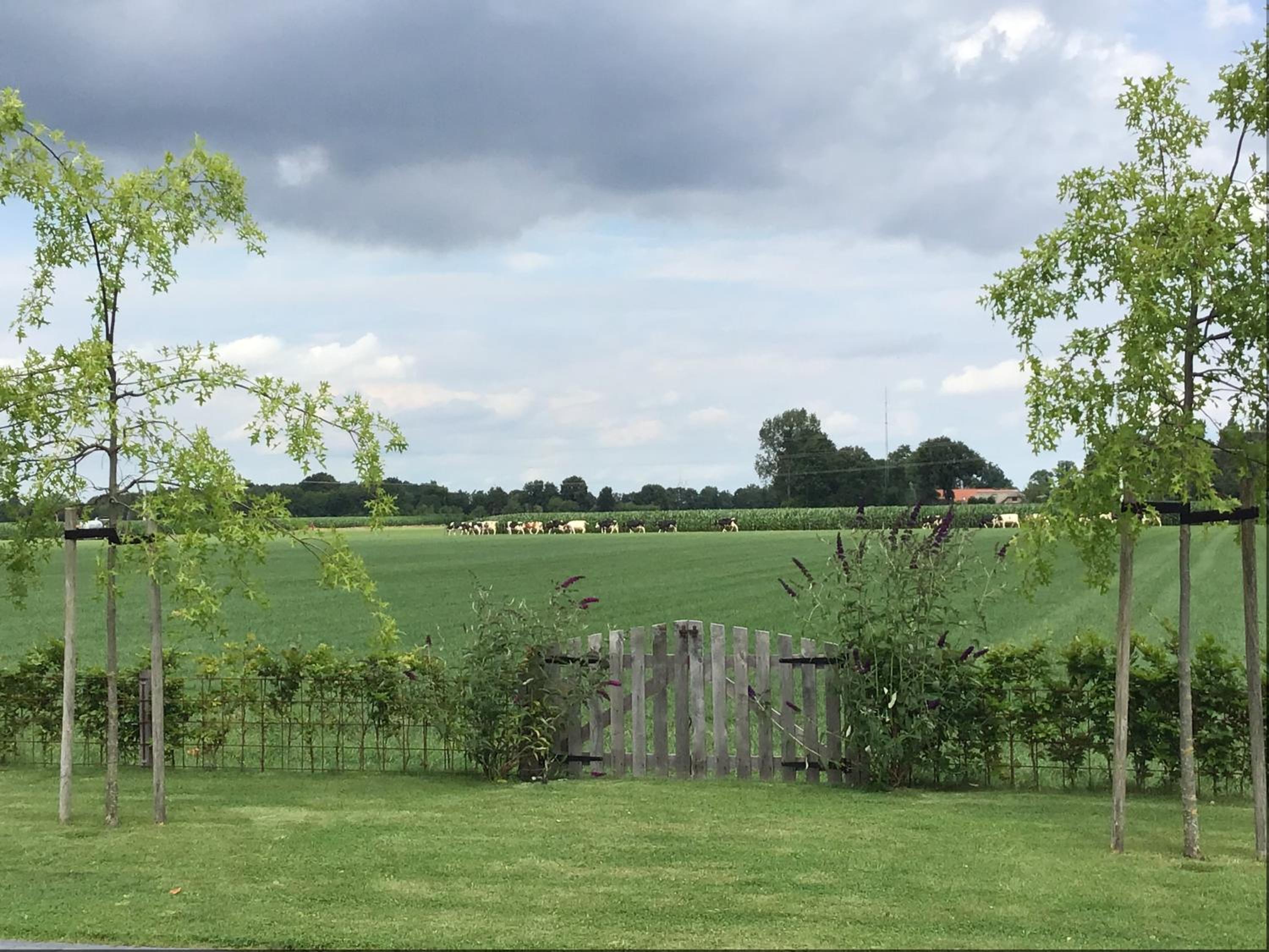 Vakantiehuisje B&B de Kleine Voskuil view 5