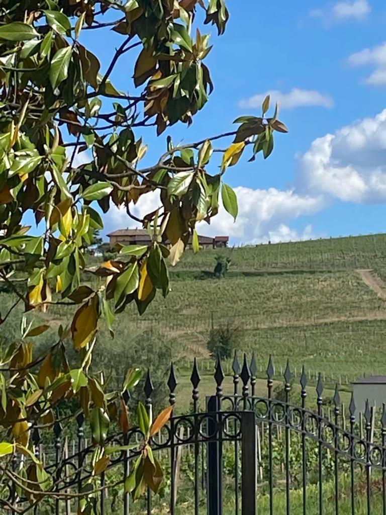 Piemonte Country House view 3