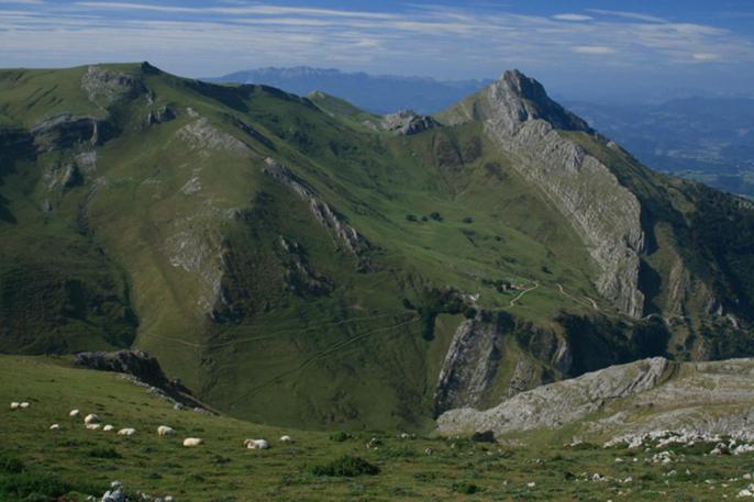 Etxeondo