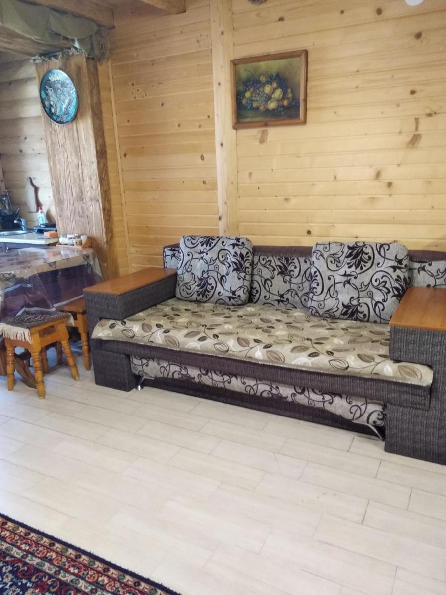Cottage Lisovychok view 3