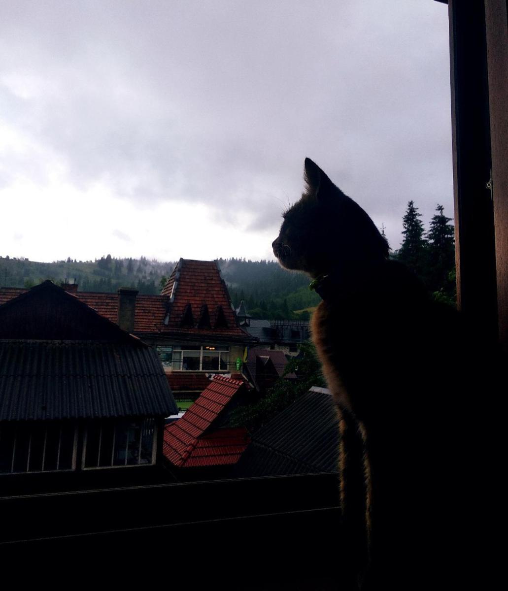 Cottage Lisovychok view 5