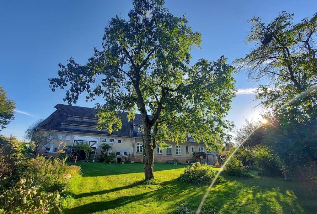 Auszeit auf dem Drachenhof, das Hyggehaus