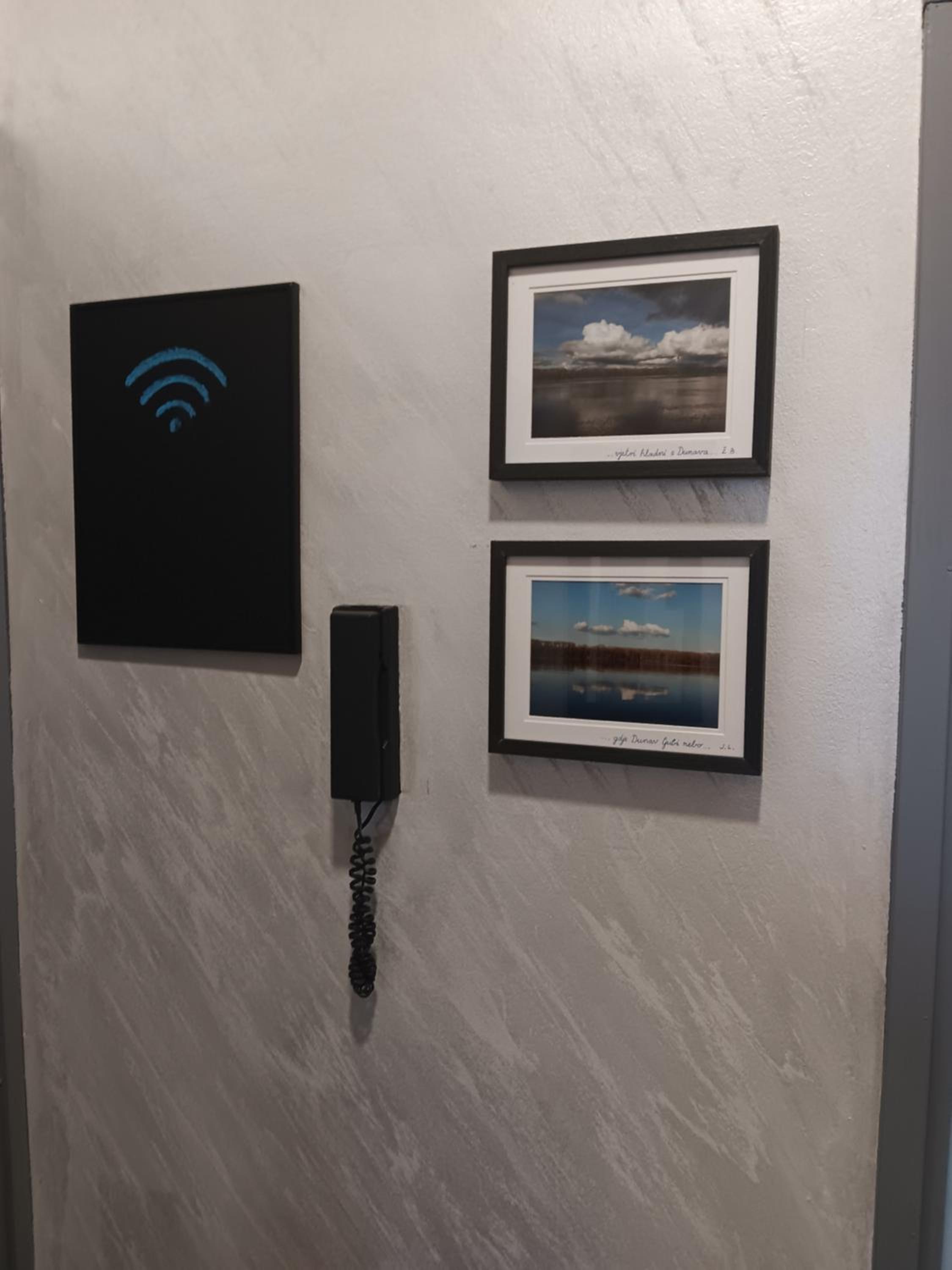 Apartman Dunav