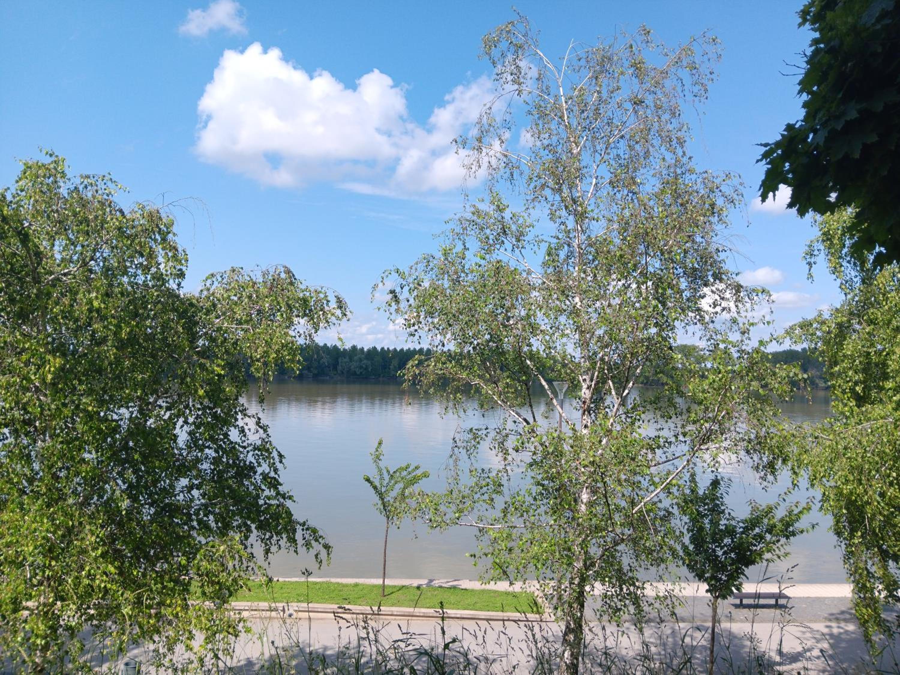 Apartman Dunav