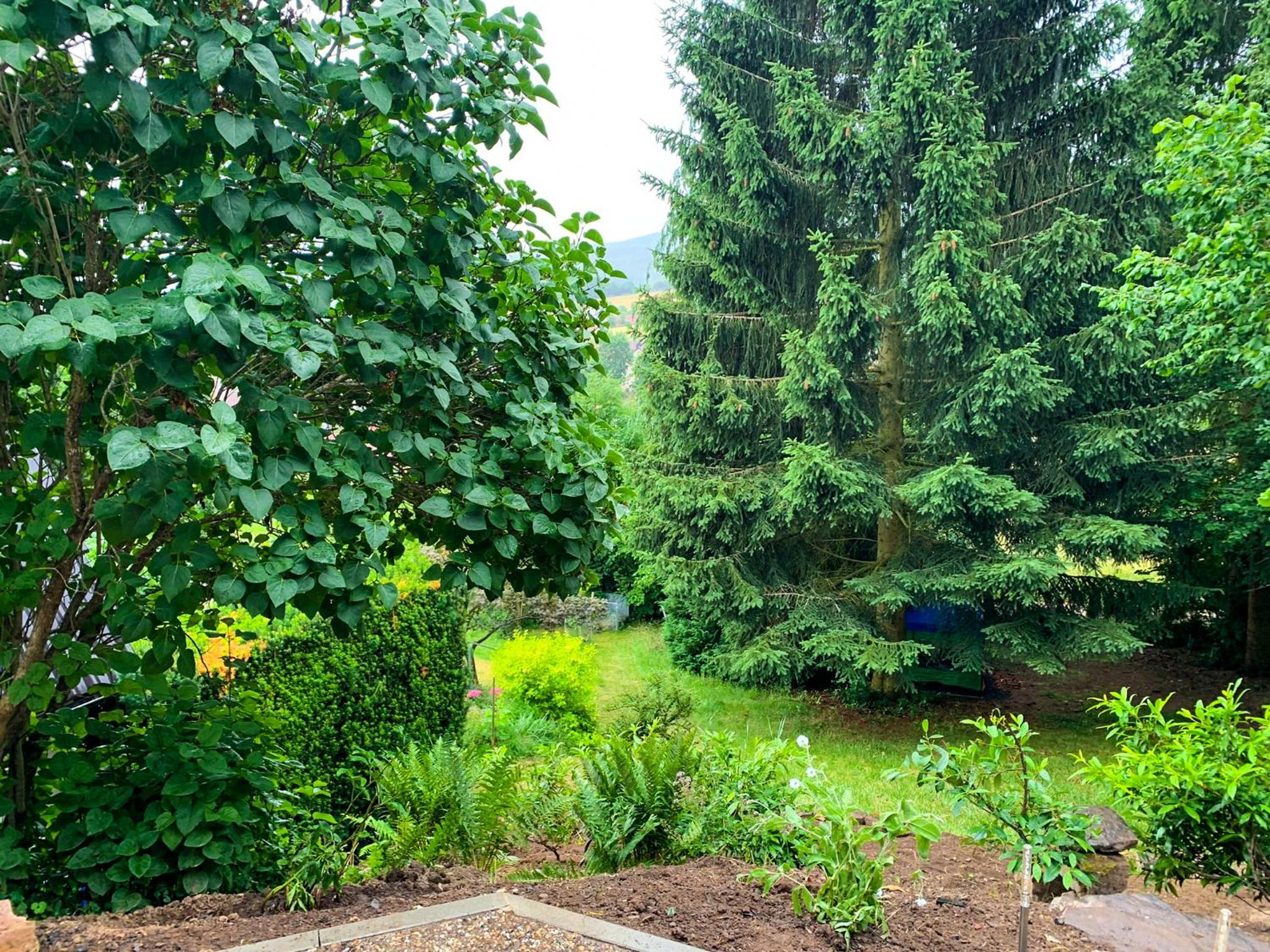 Ferienhaus Rhön-Auszeit