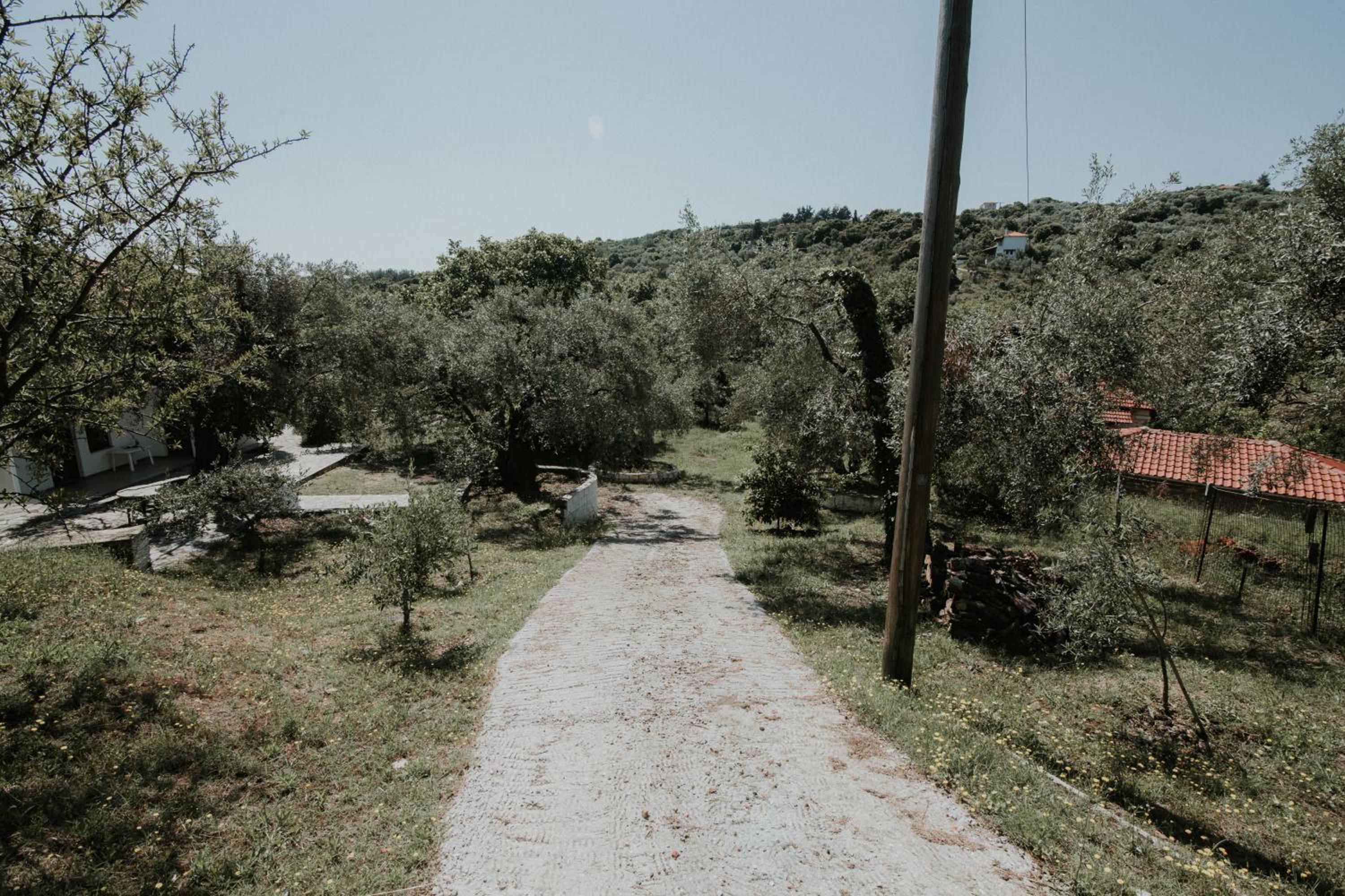 Photo 16