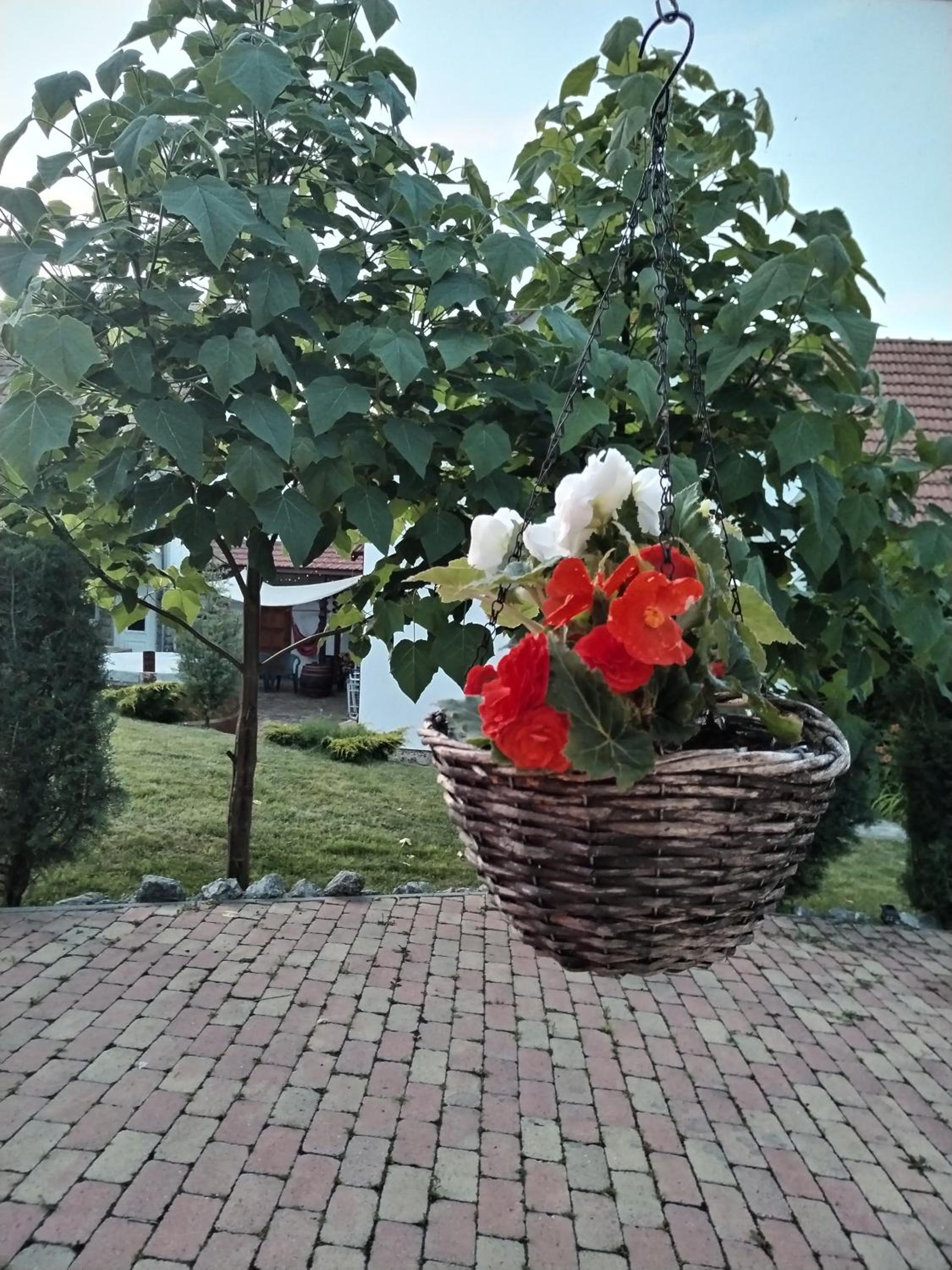 Photo 39