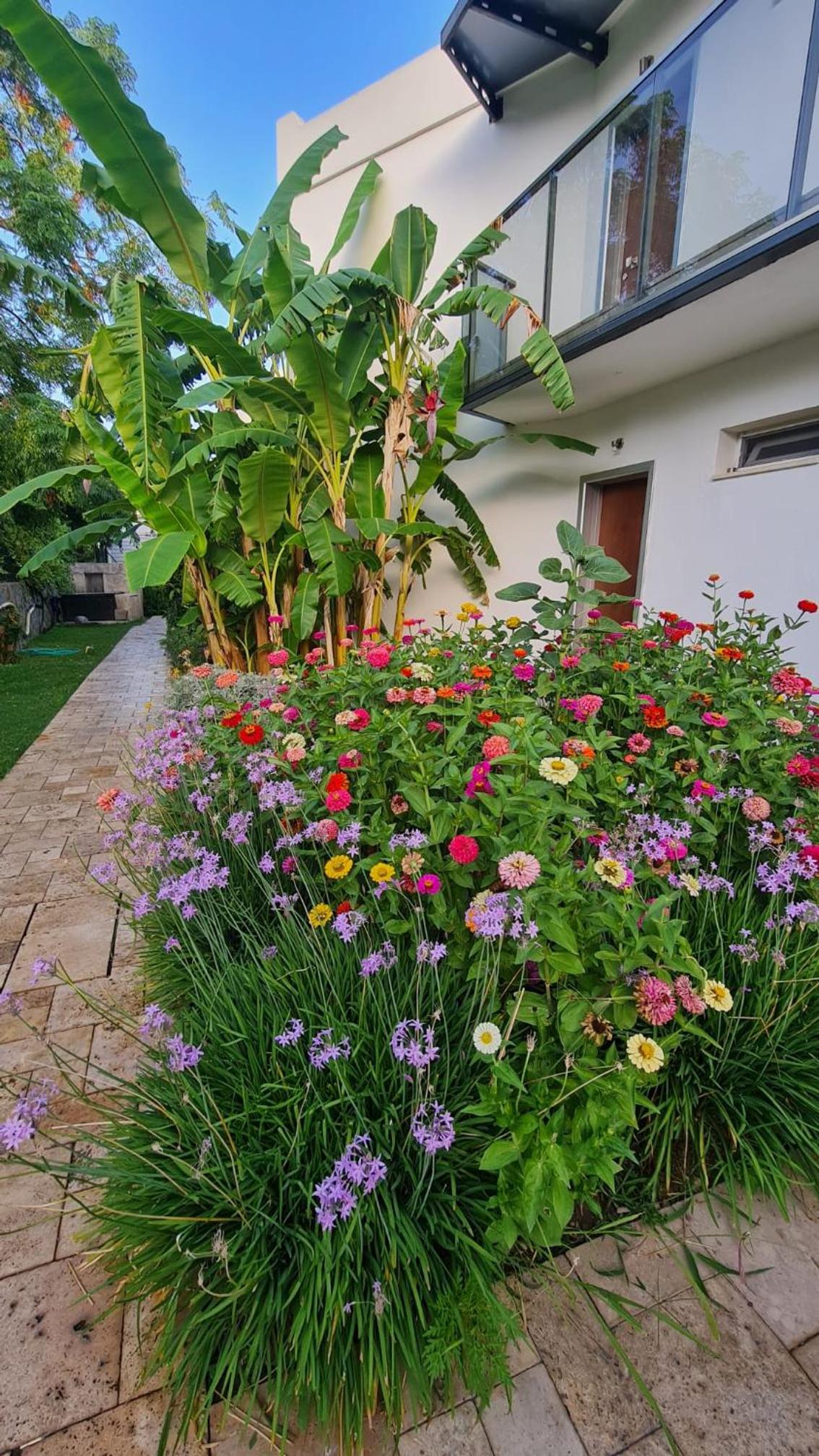 Sun Garden Apart Hotel, photo 24