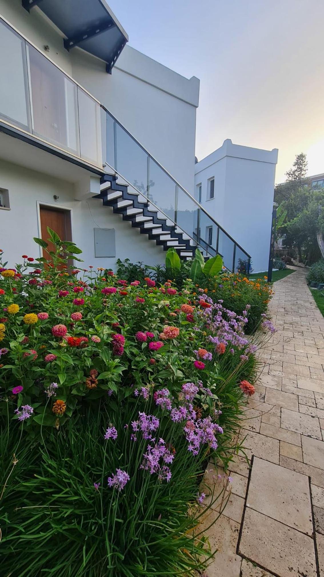Sun Garden Apart Hotel, photo 3
