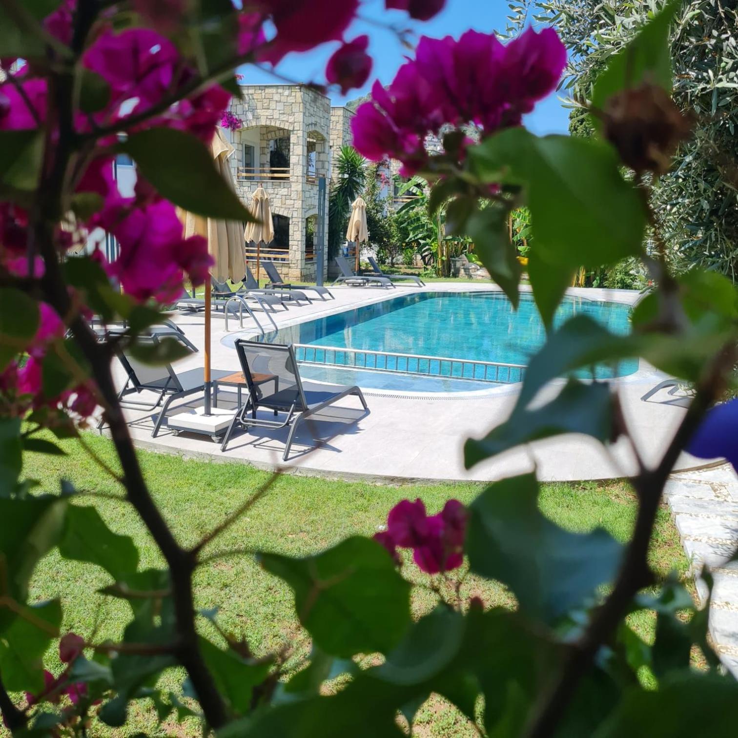 Sun Garden Apart Hotel, photo 44