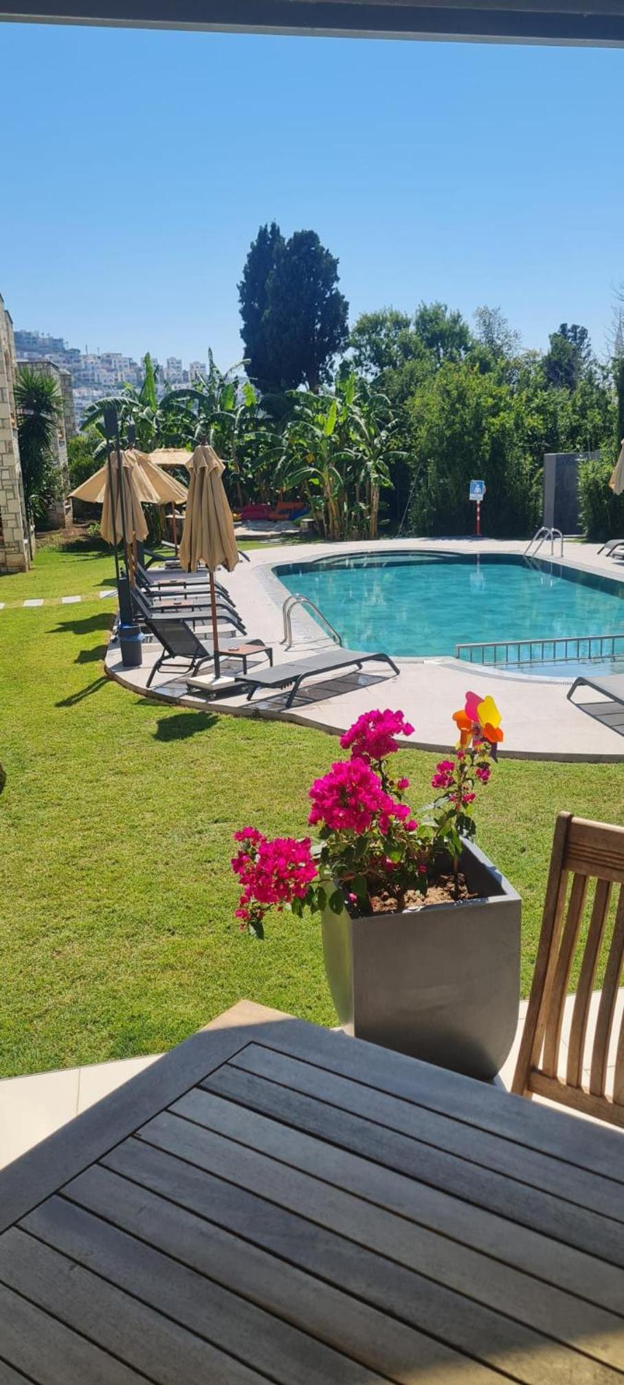 Sun Garden Apart Hotel, photo 56