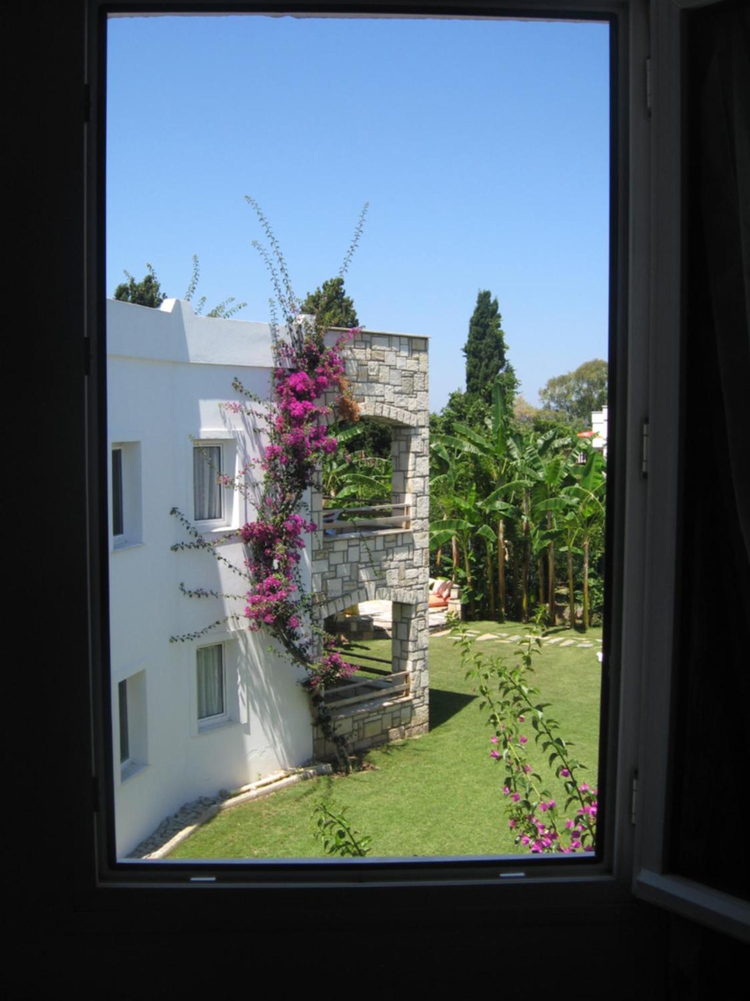 Sun Garden Apart Hotel, photo 7