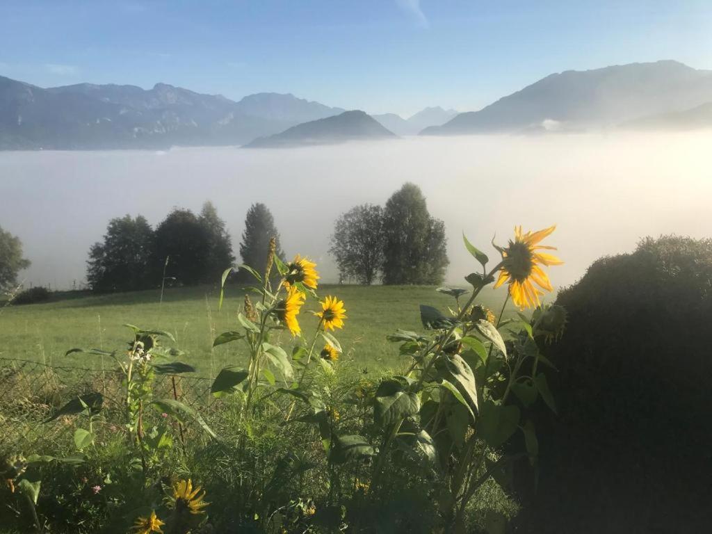 Ennstal Classic Landhaus Chalet