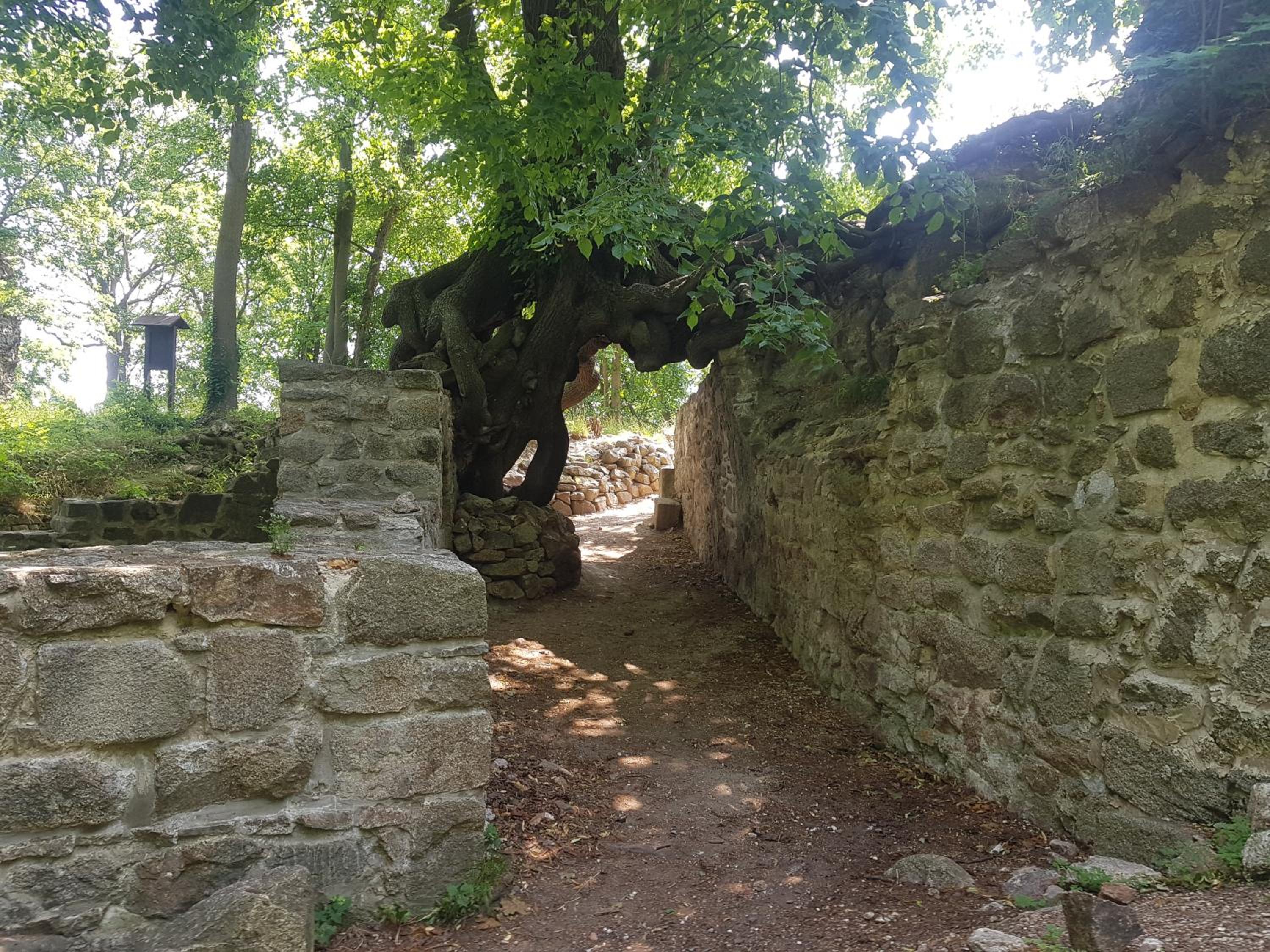 Ferienhaus Renate 7