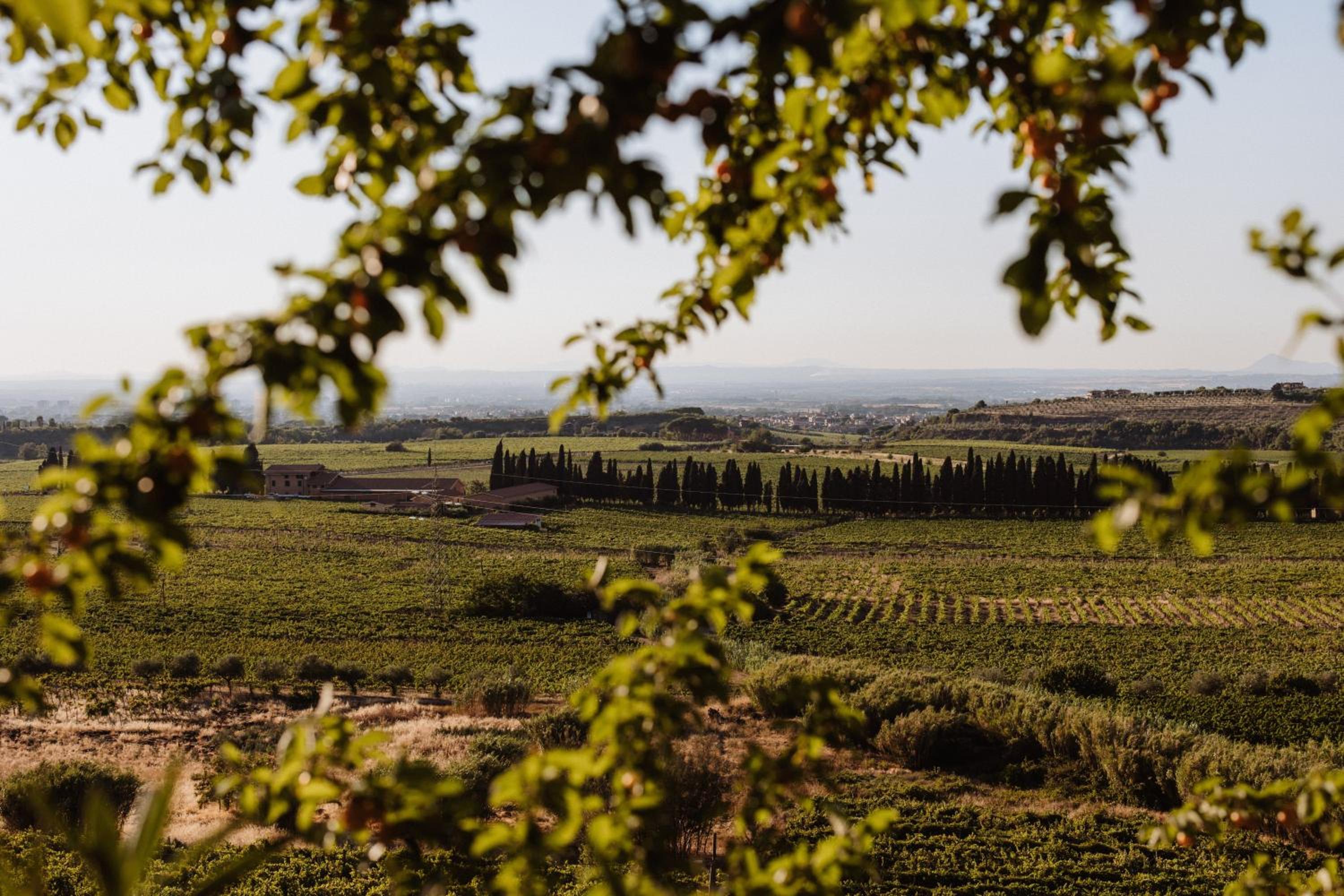 Merumalia Wine Resort