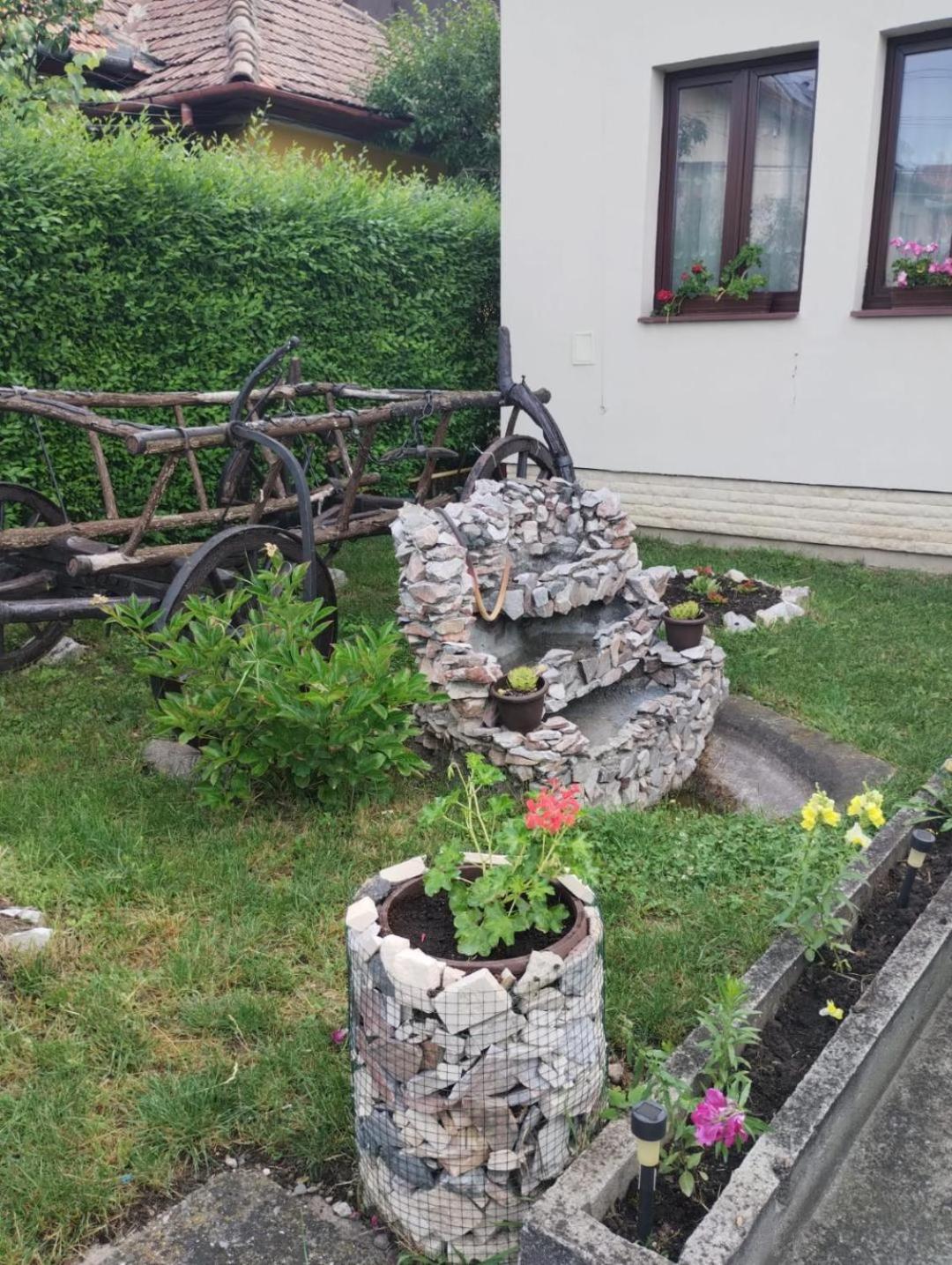 Casa Darius Cluj view 3