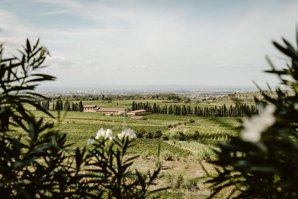 Merumalia Wine Resort