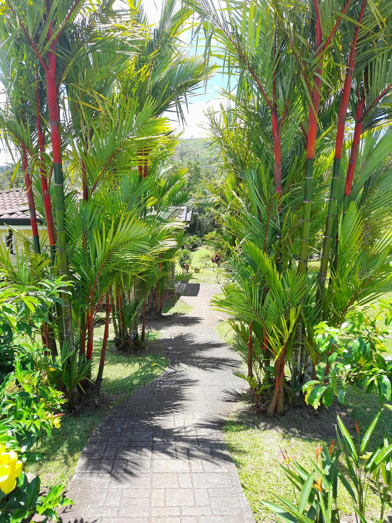 TOP RATED - Stunning Lake Arenal 2 Bed Country House