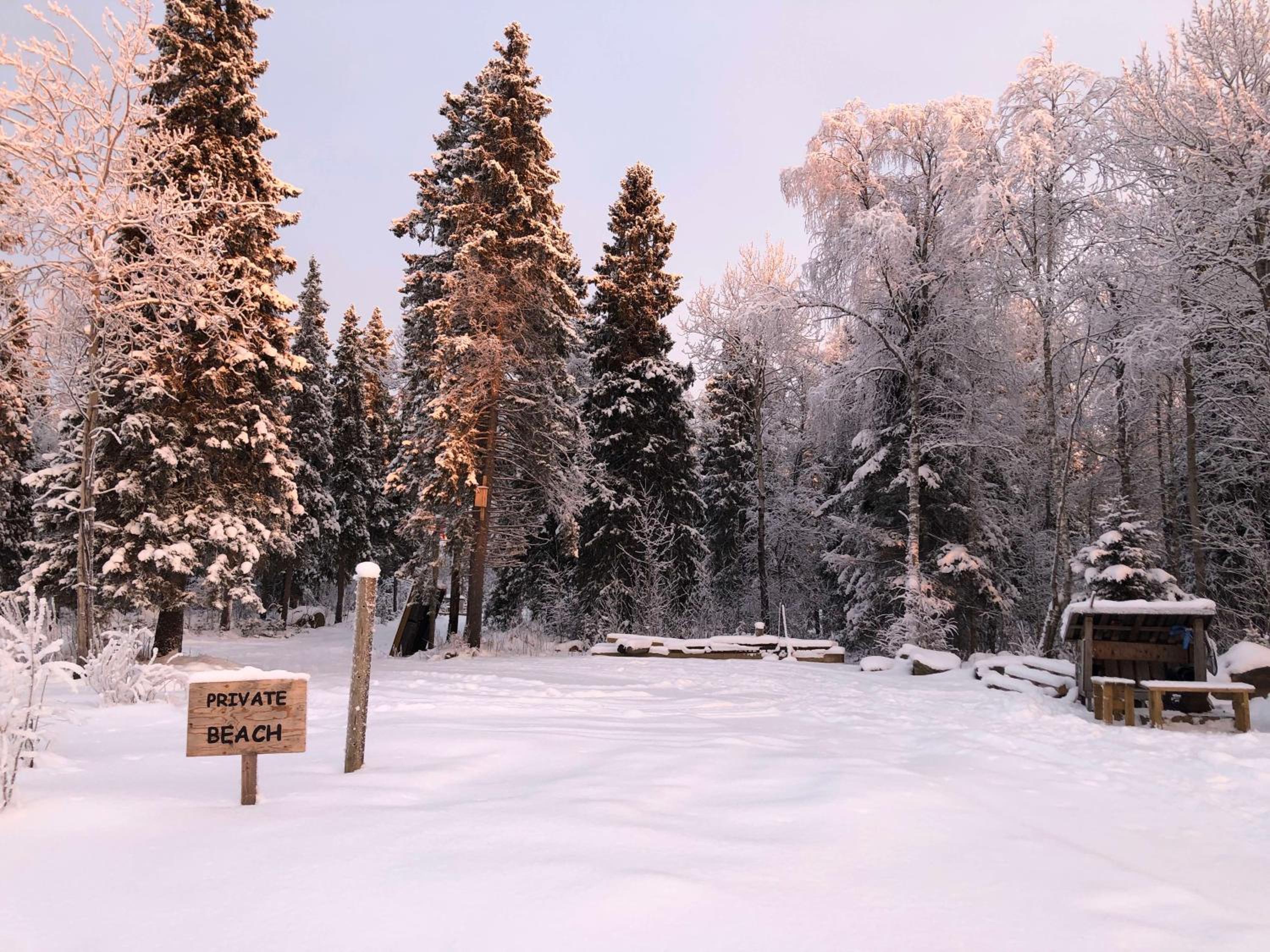 Luxury Log Villa by Invisible Forest Lodge