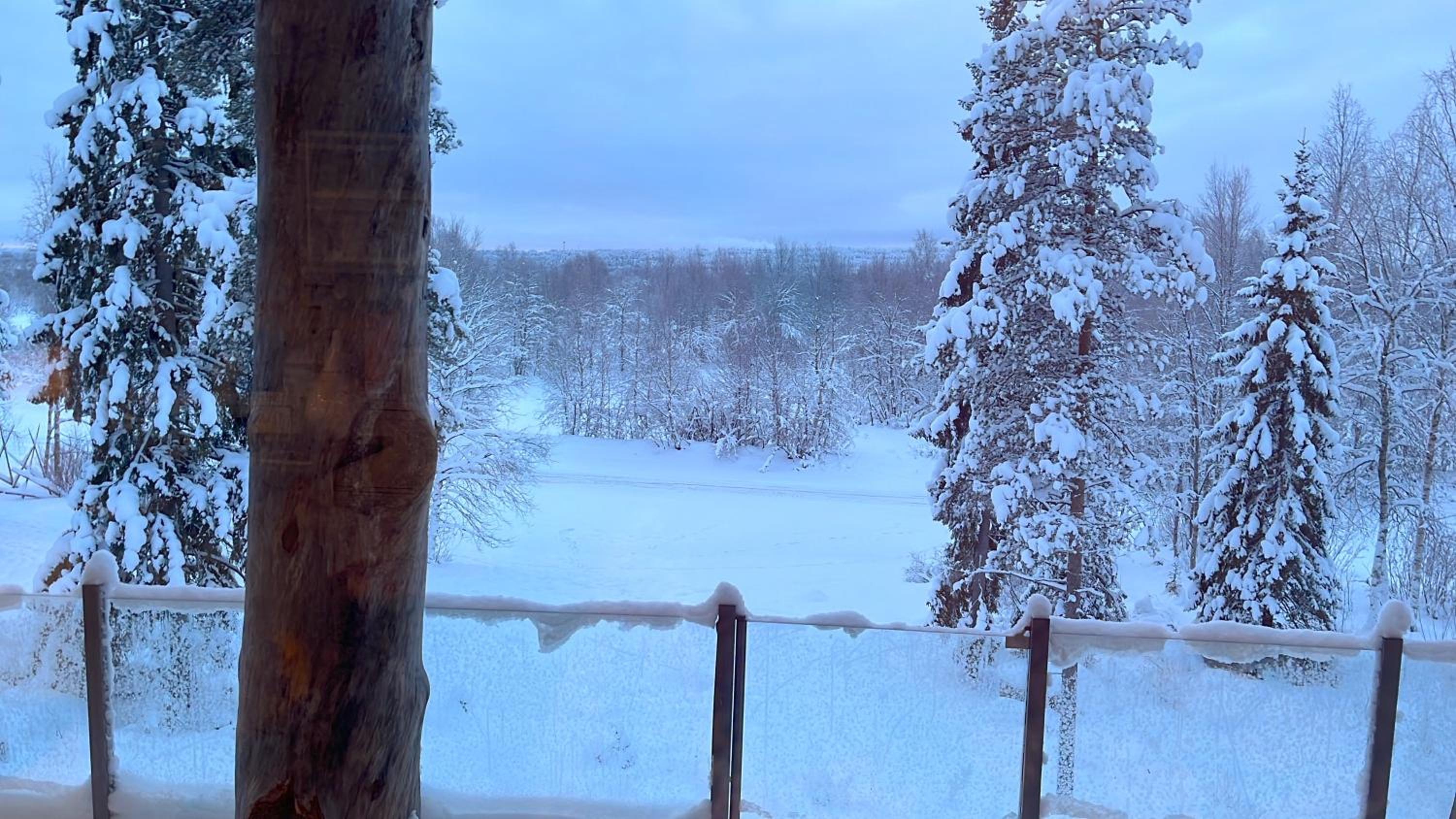 Luxury Log Villa by Invisible Forest Lodge
