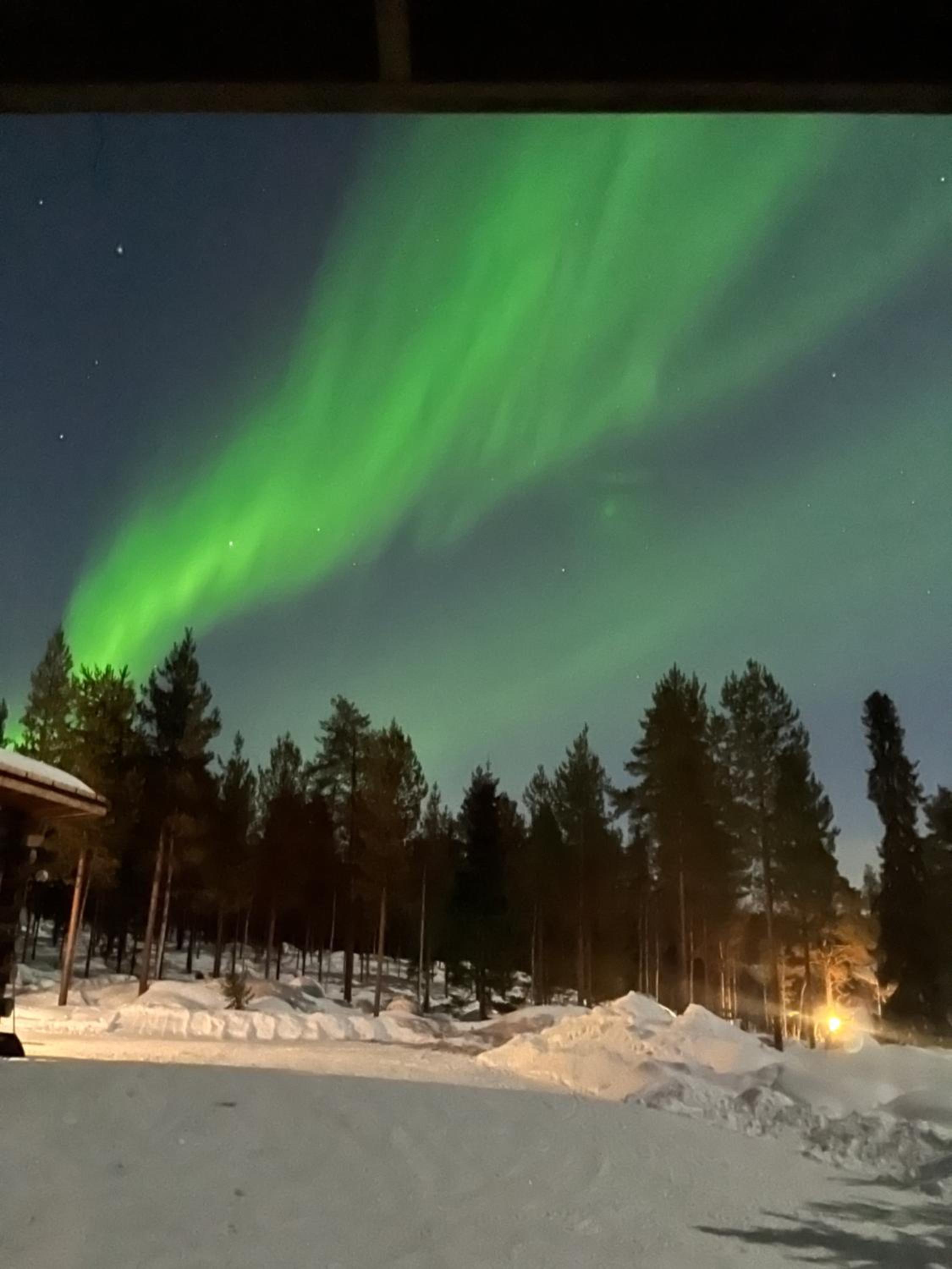 Luxury Log Villa by Invisible Forest Lodge