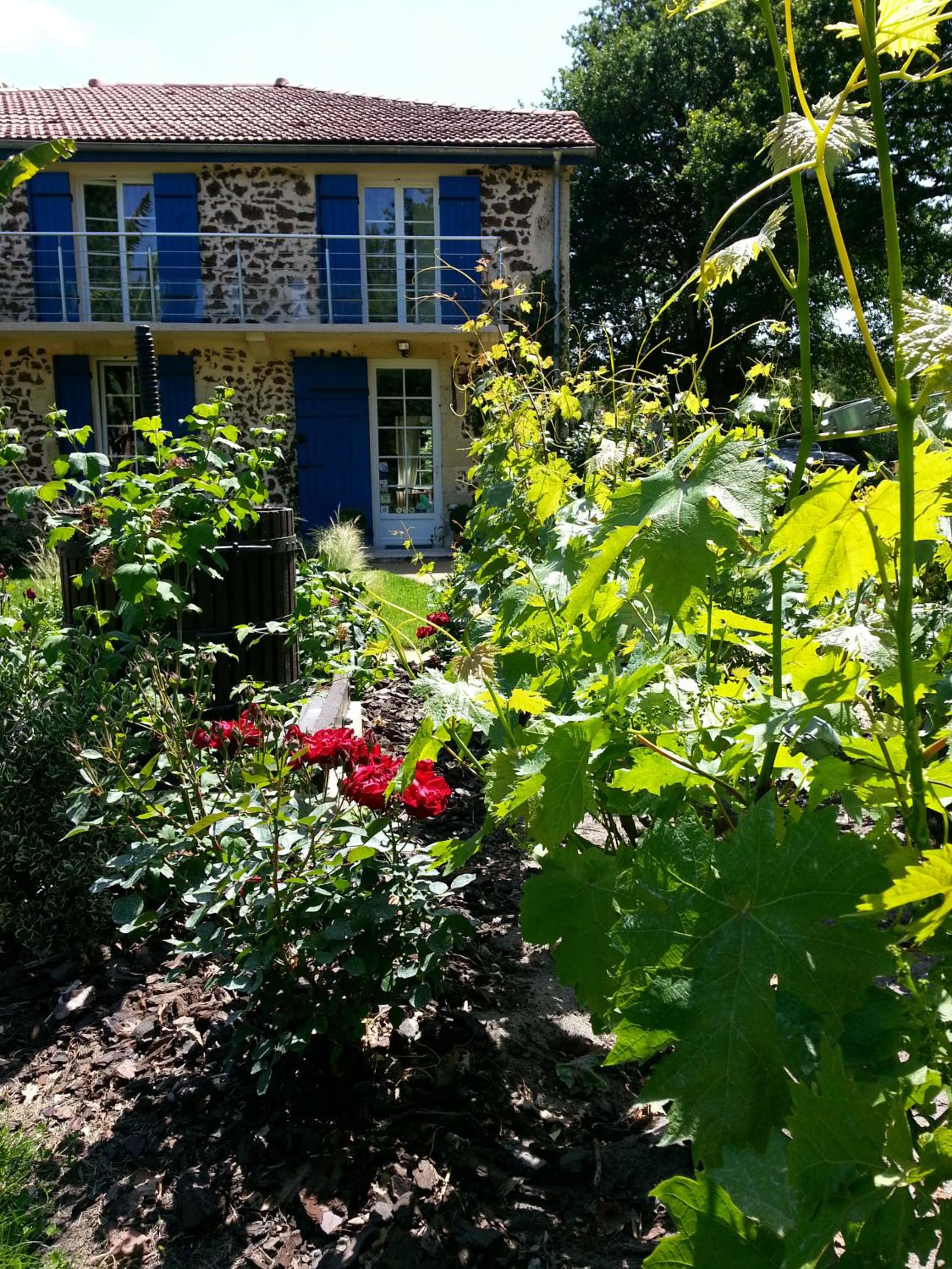 Chambre d'Hôtes L'Airial