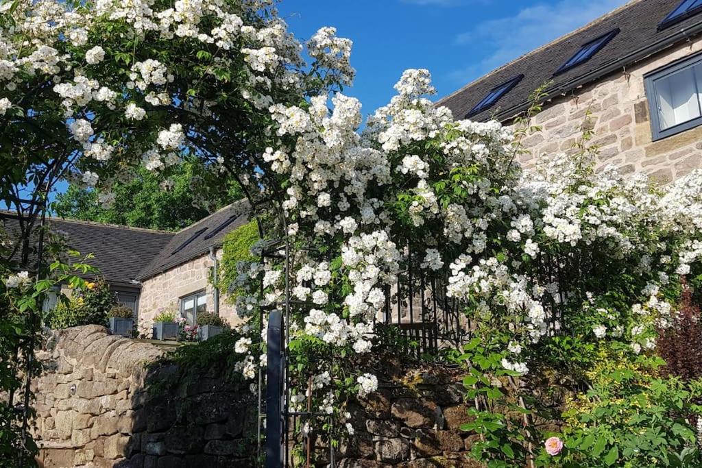 Cottage in Matlock, Derbyshire. Lower Holly Barn view 5