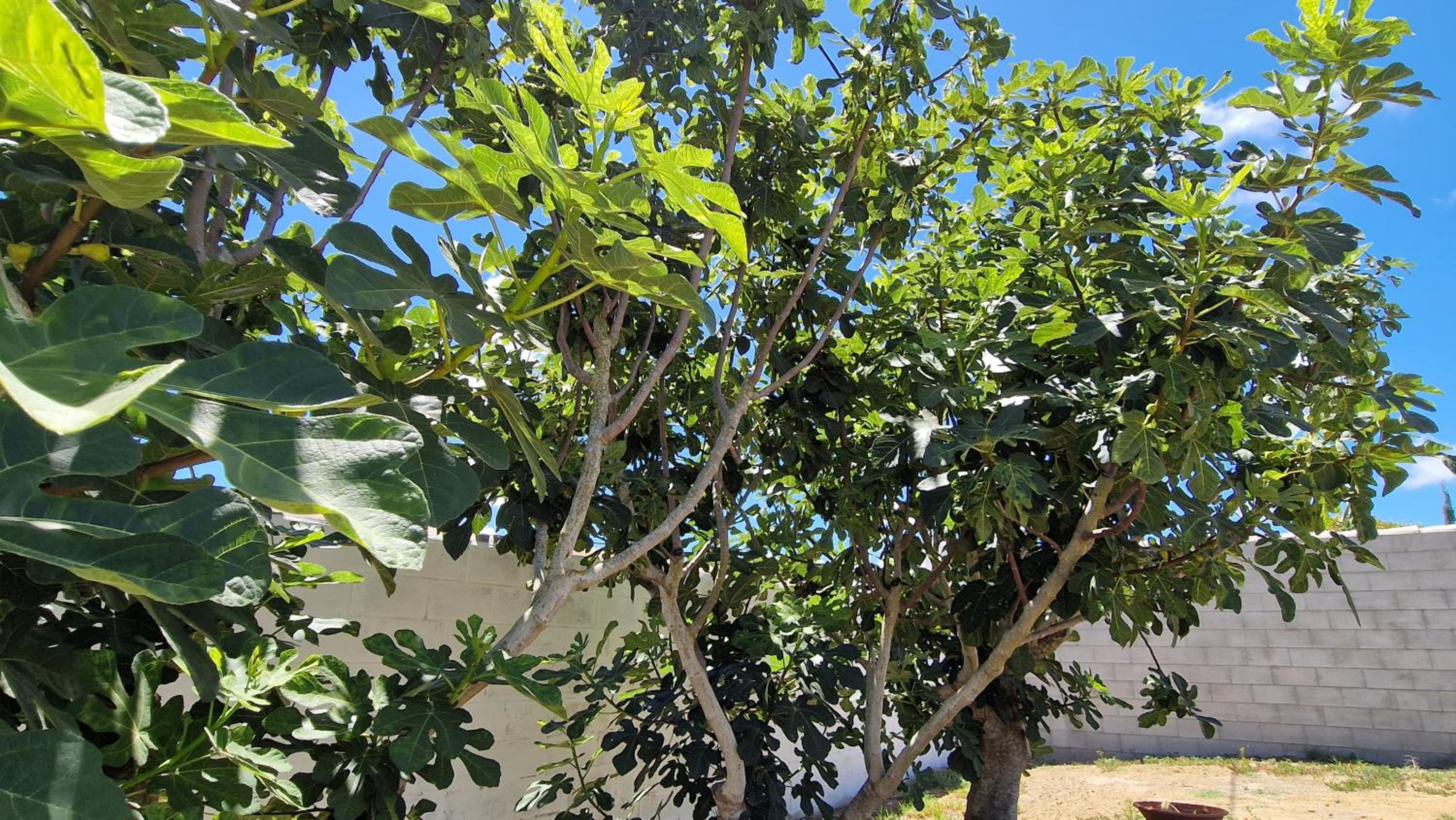 Casa vacacional en Chiclana de la Frontera