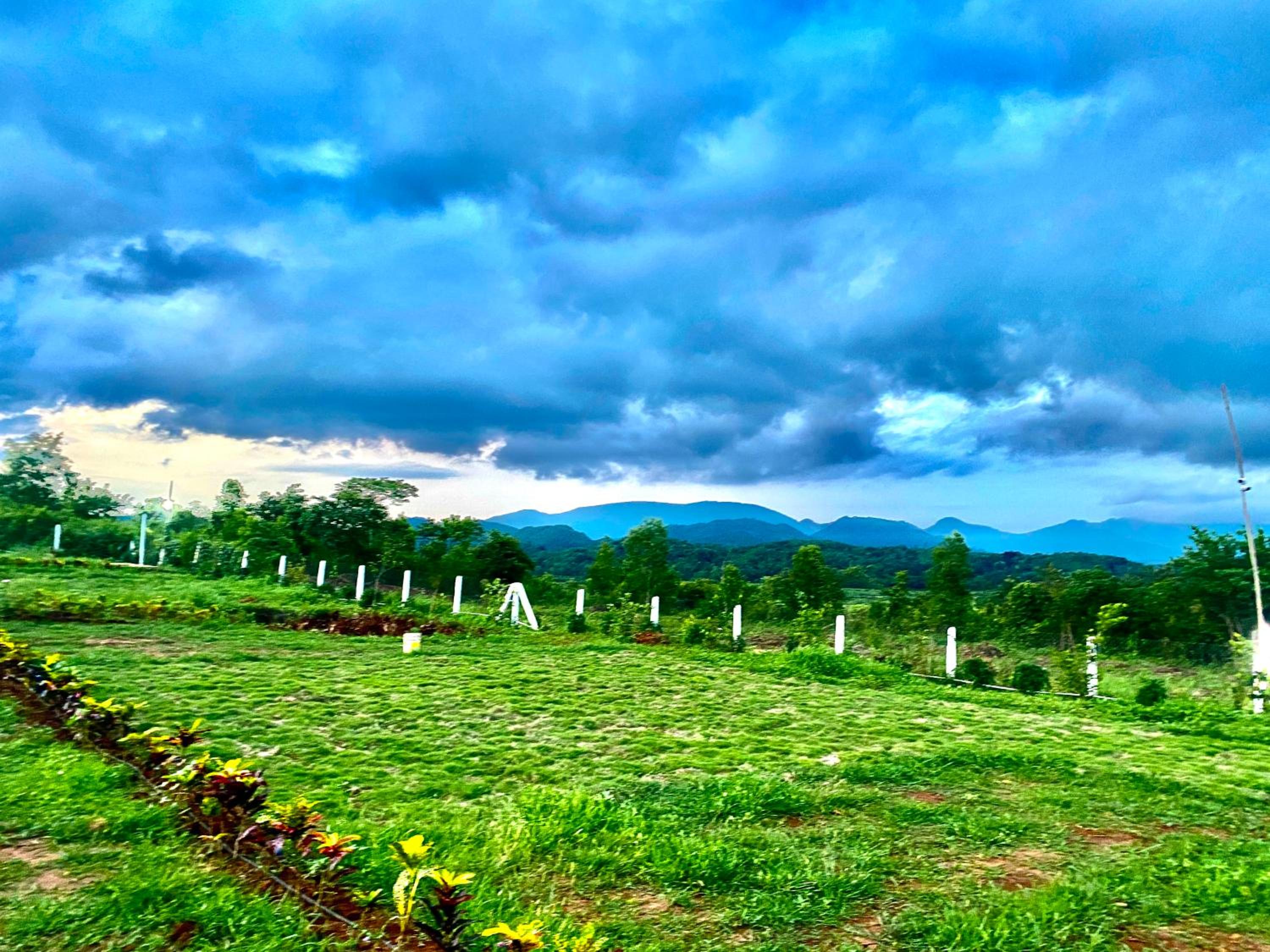 Sapthapadi Villas