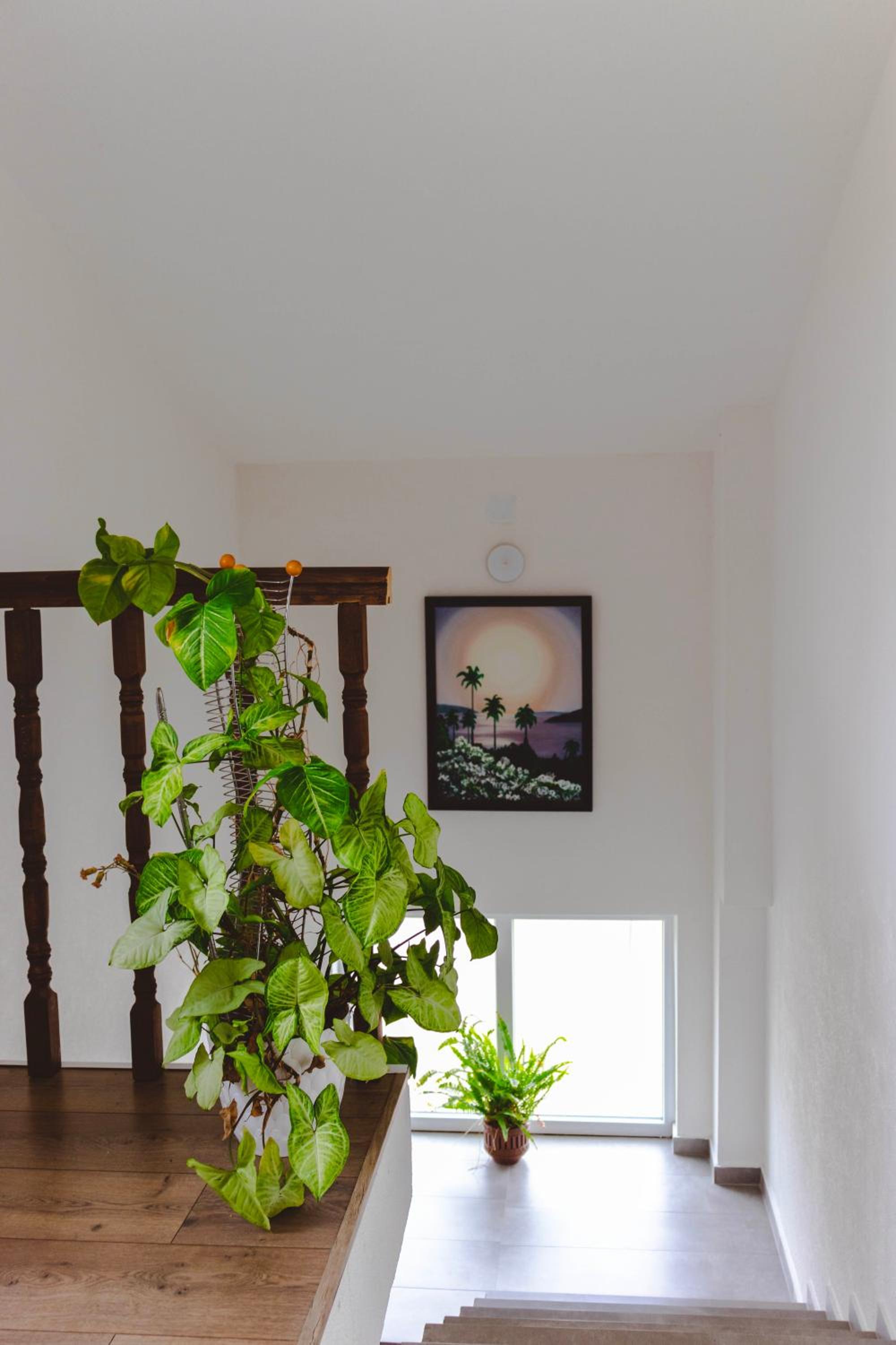 Photo 55