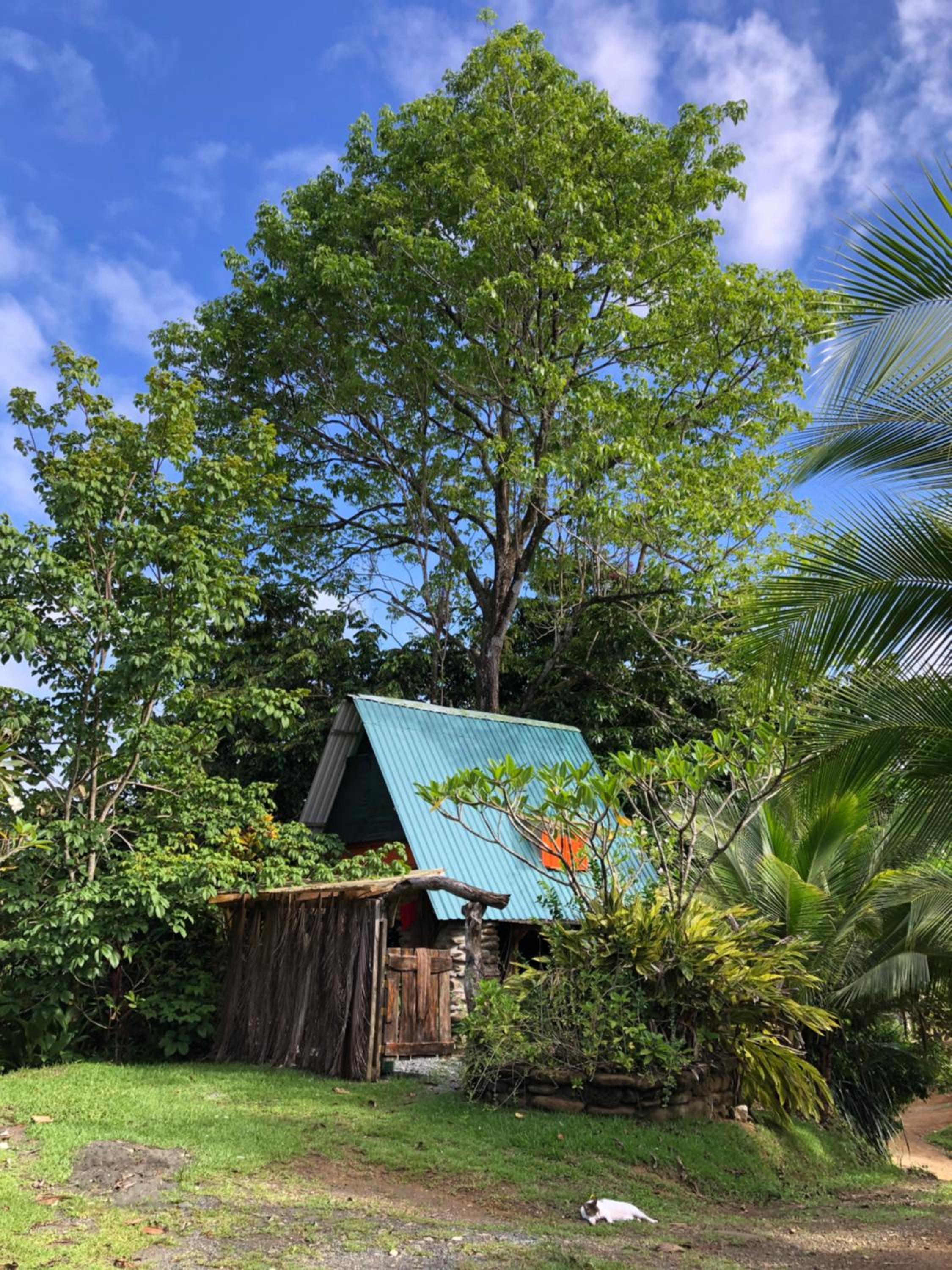 Rustic Cabin in Pavones surf brake