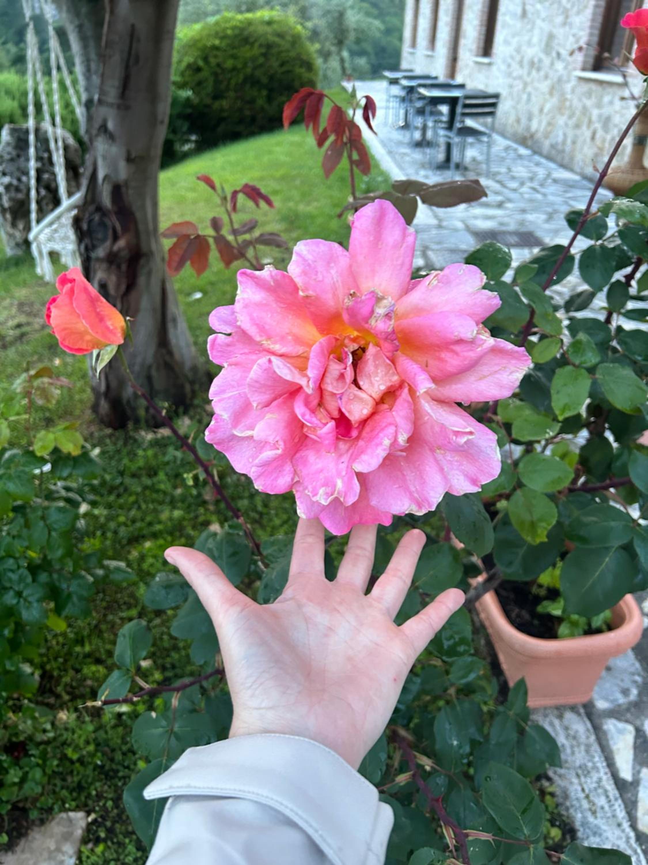 La Tenuta dei Fiori