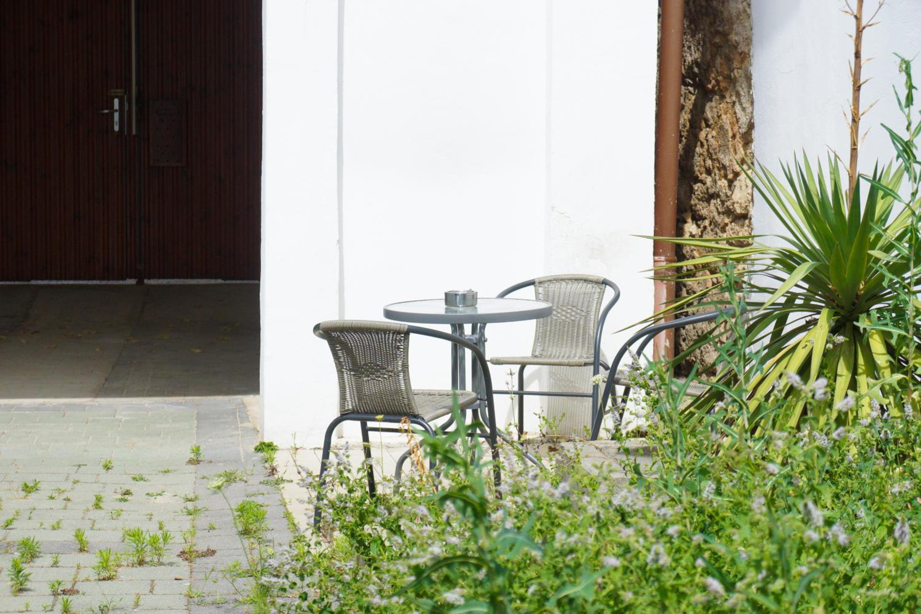 Chill & Relax Apartments Purbach