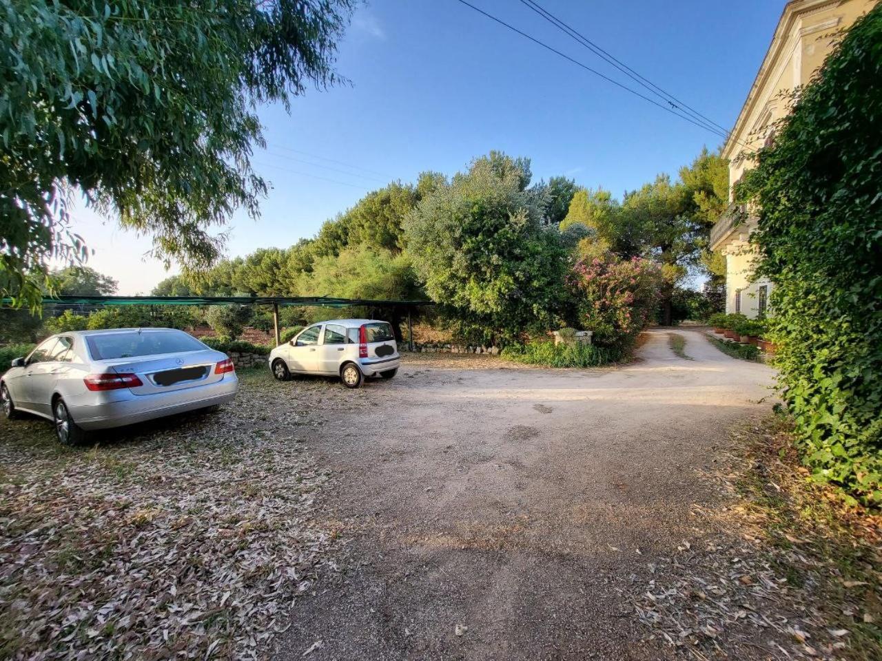 Photo 30