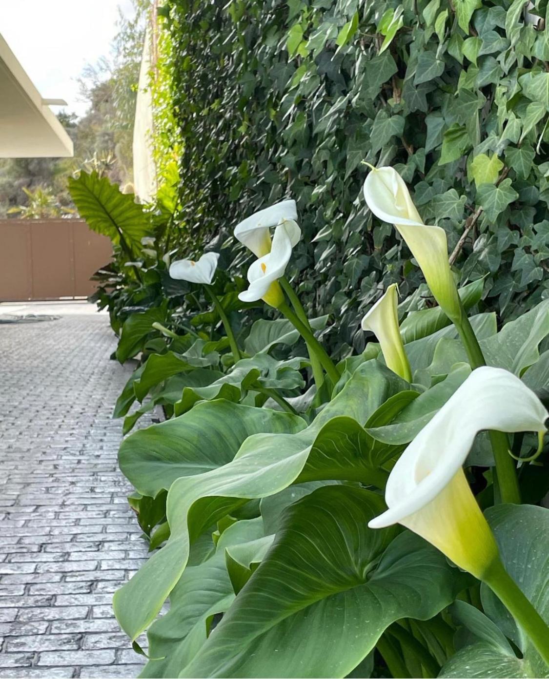 La Paratá Suites Mojácar
