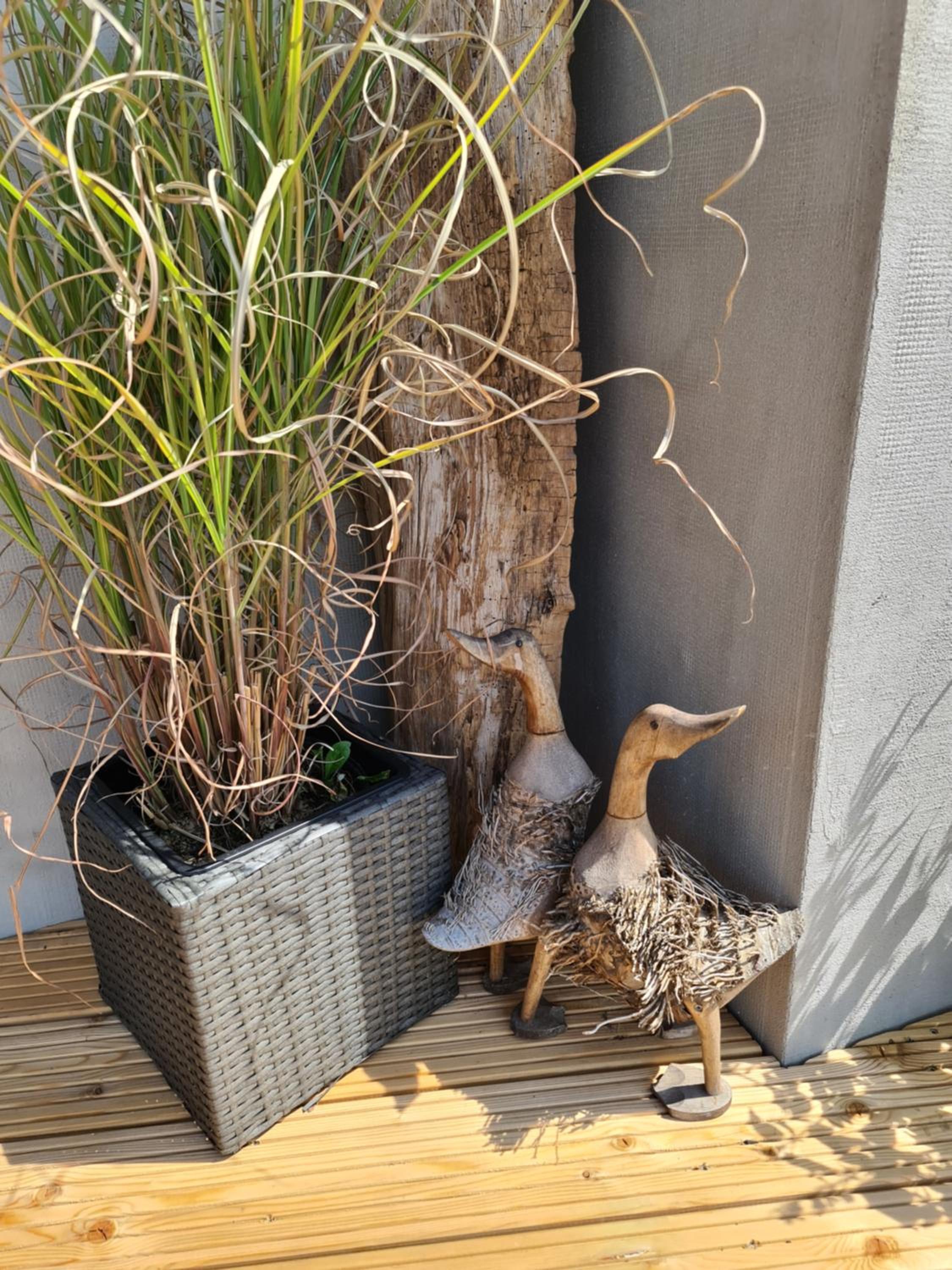 Ferienhäuschen auf Fehmarn
