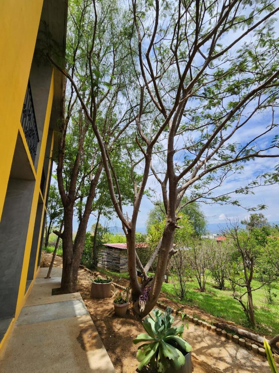 Hotel Casa San Pablo view 4